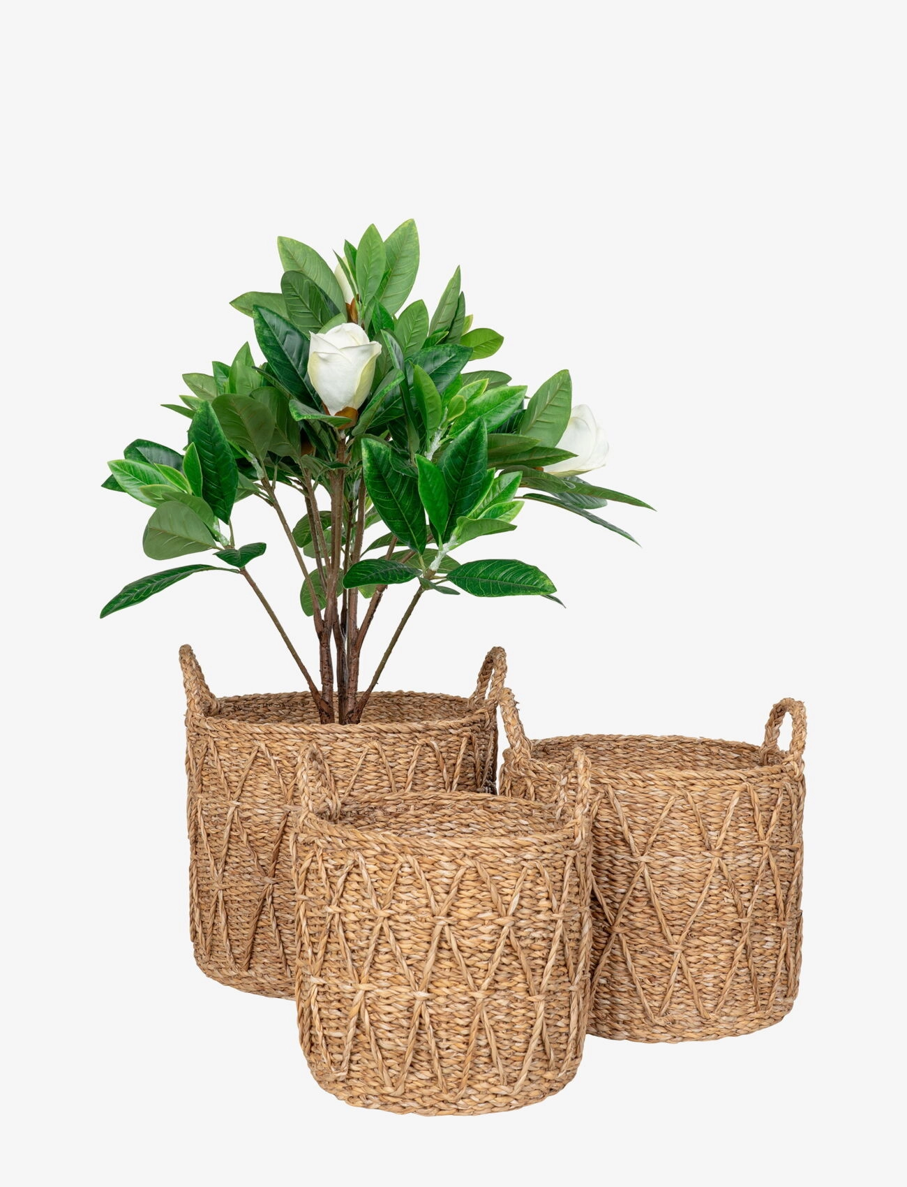House Nordic - Sivi - Baskets, seagrass, natural, set of 3 - pots de fleurs - natural - 2