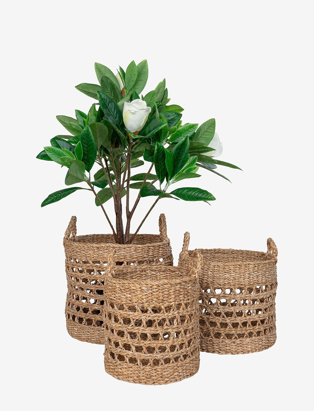 House Nordic - Lilia - Baskets, seagrass, natural, set of 3 - nach preis einkaufen - natural / black - 1