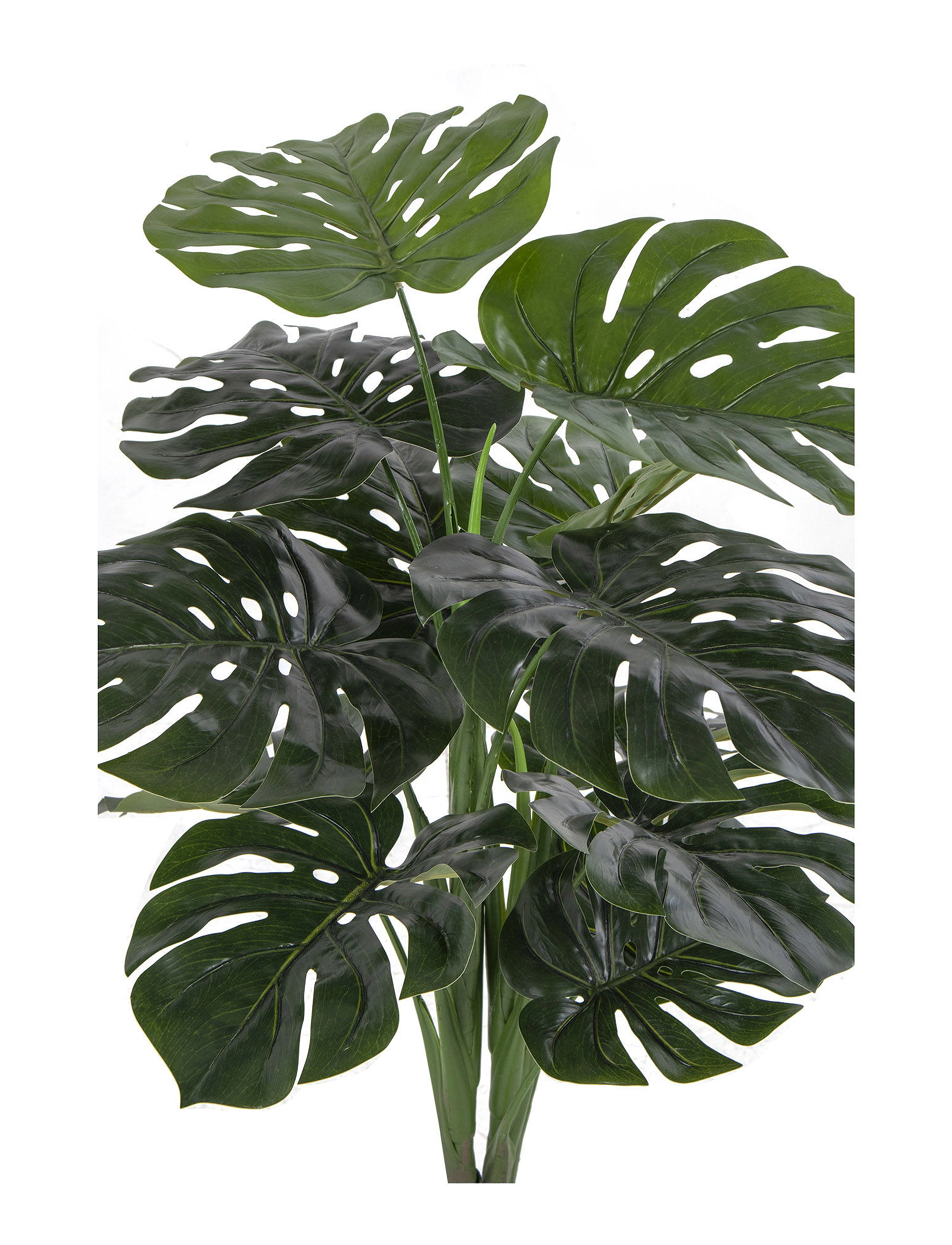 House Nordic - Dina - Artificial plant, green H:90 cm - valentīndienas dāvanas - green - 2