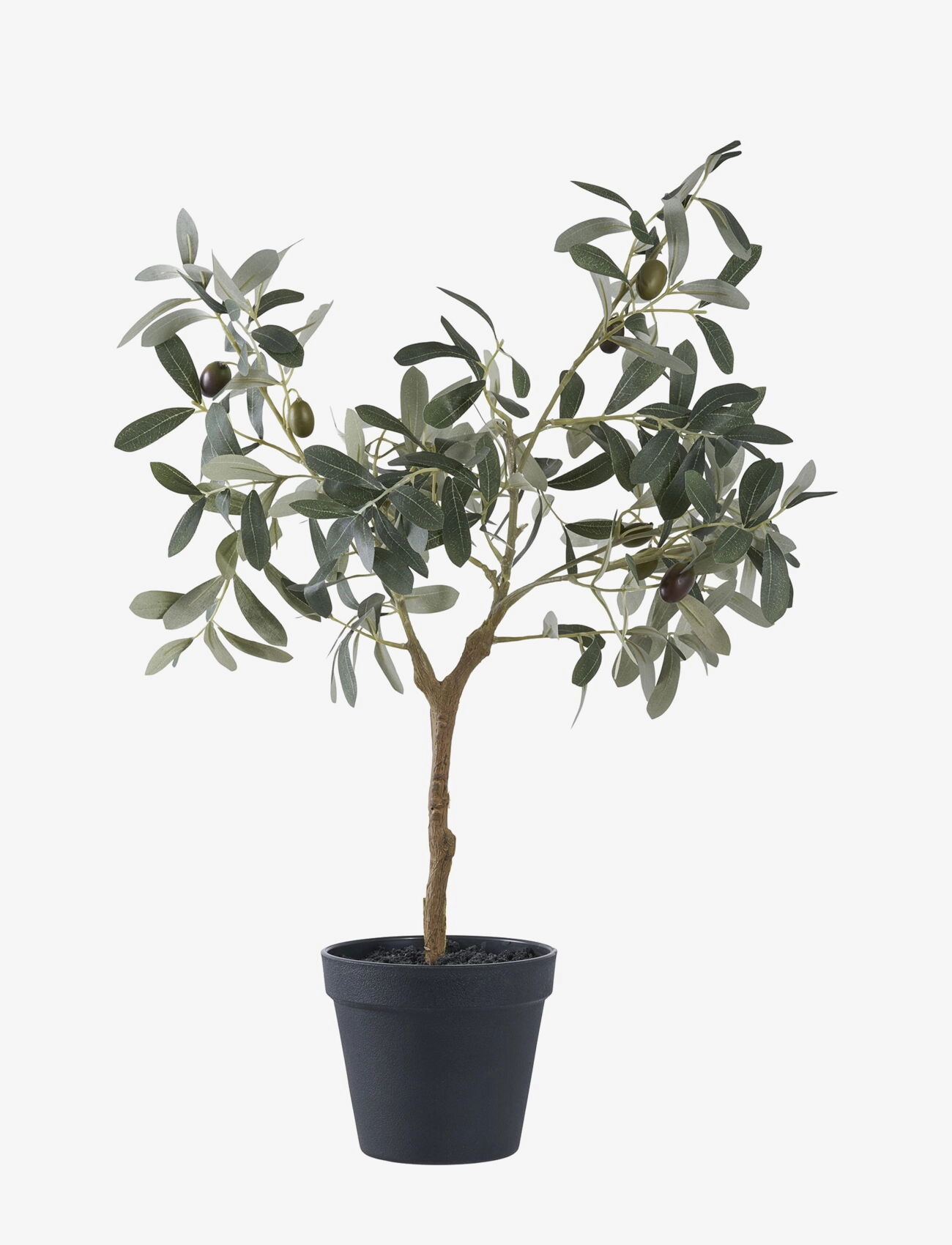 House Nordic Olive Artificial Plant, Green, H:61 Cm, Dried & Fake Flowers, Grøn, Str: 36.5X22.5XH61CM