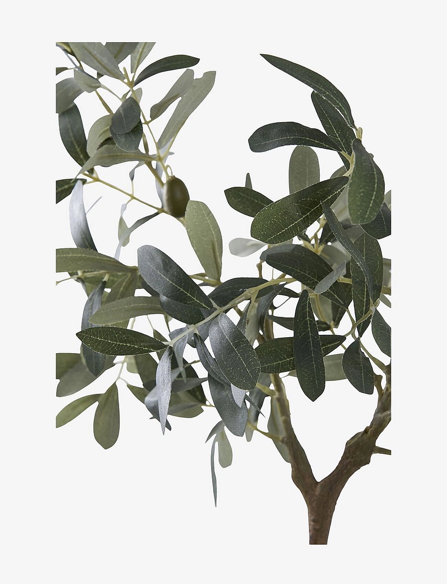 House Nordic - Olive Artificial plant, green, H:61 cm - sõbrapäeva kingitused - green - 1