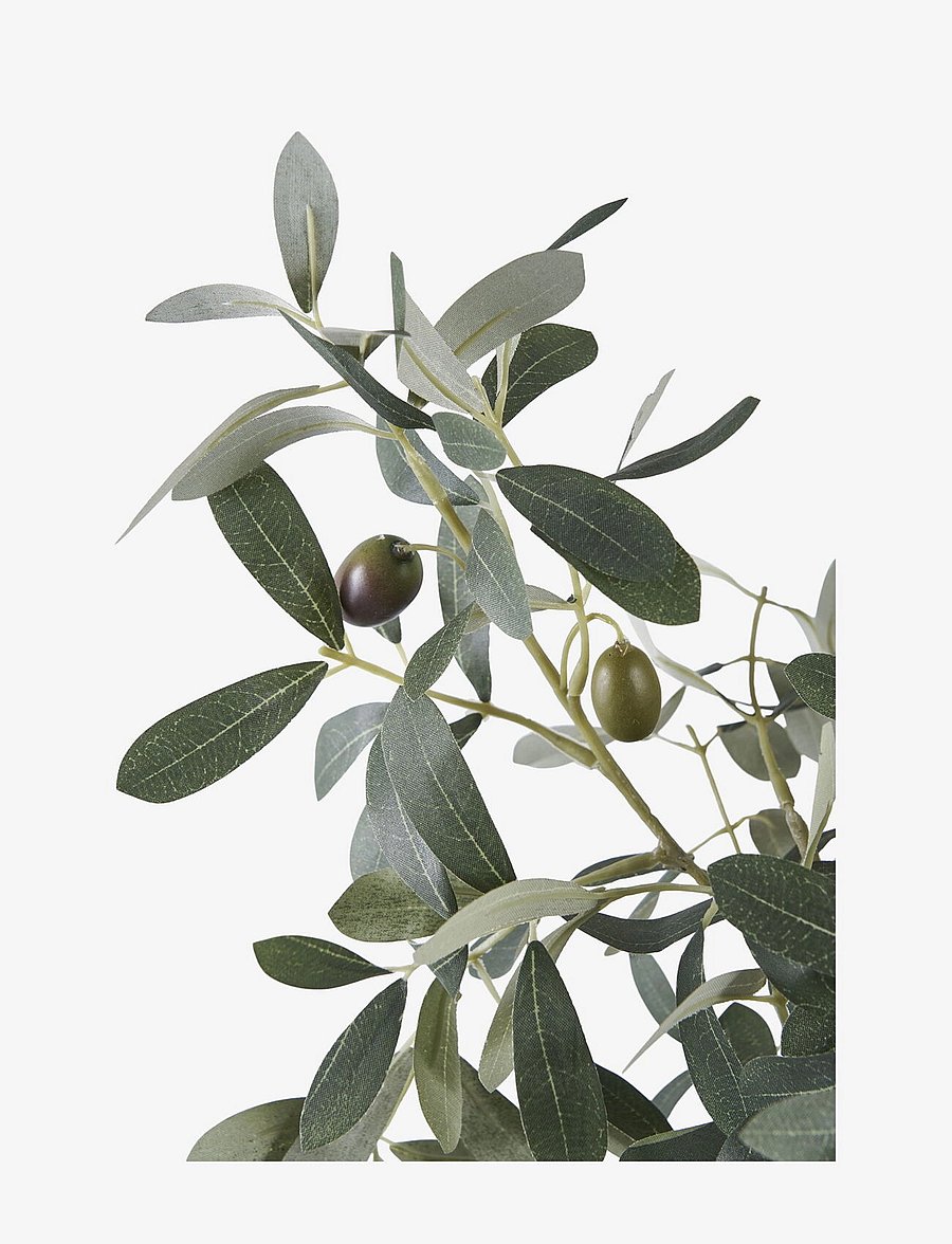 House Nordic - Olive Artificial plant, green, H:61 cm - sõbrapäeva kingitused - green - 2