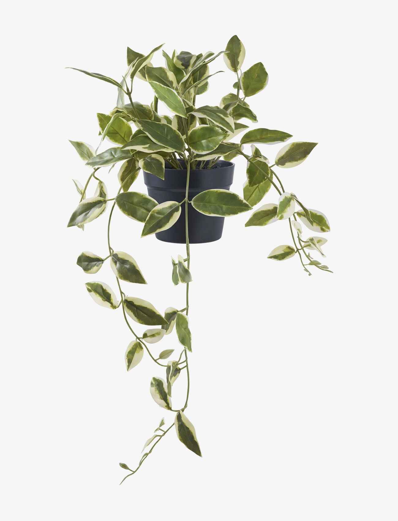 House Nordic Hoya Artificial Plant, Green, H:33 Cm, Dried & Fake Flowers, Grøn, Str: 25.5X25.5XH33CM