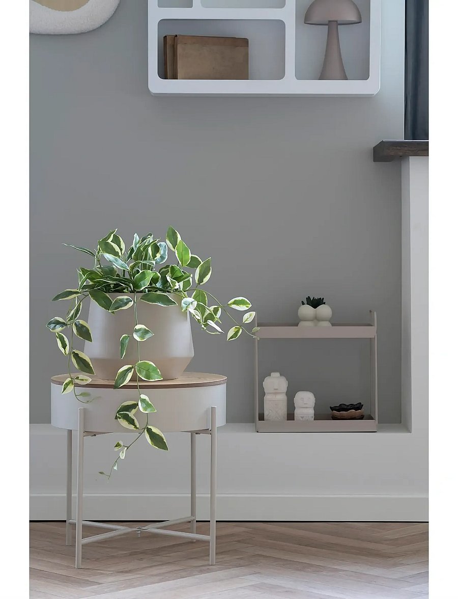 House Nordic - Hoya Artificial plant, green, H:33 cm - valentīndienas dāvanas - green - 5