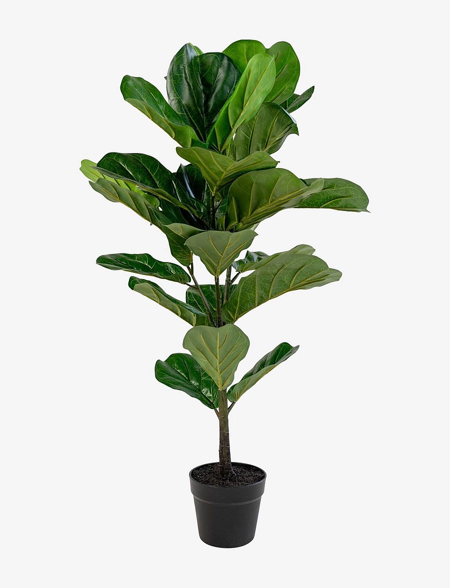 House Nordic - Kili - Artificial plant, green H:100 cm - fleurs séchées - green - 1