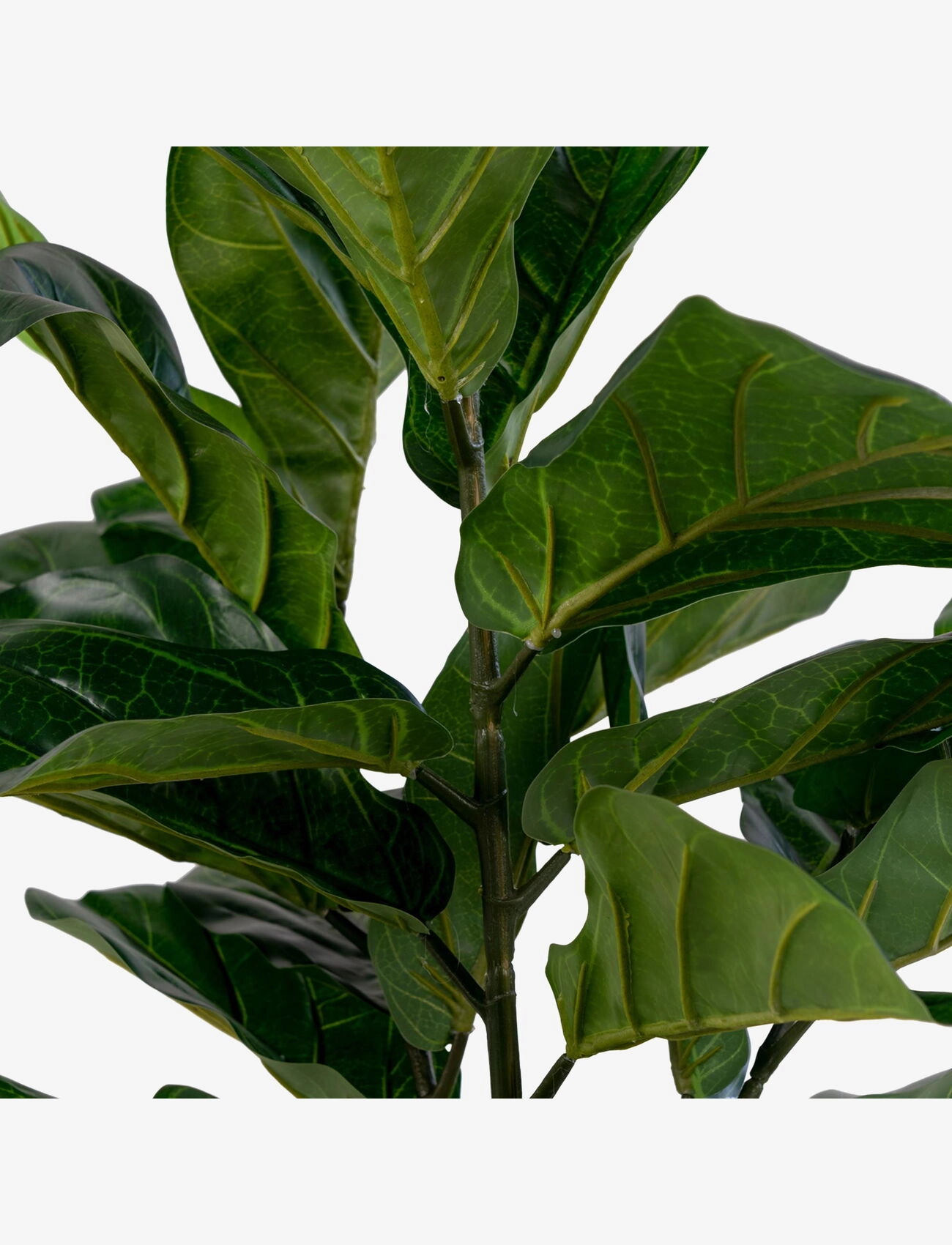 House Nordic - Kili - Artificial plant, green H:100 cm - tekokukat - green - 2