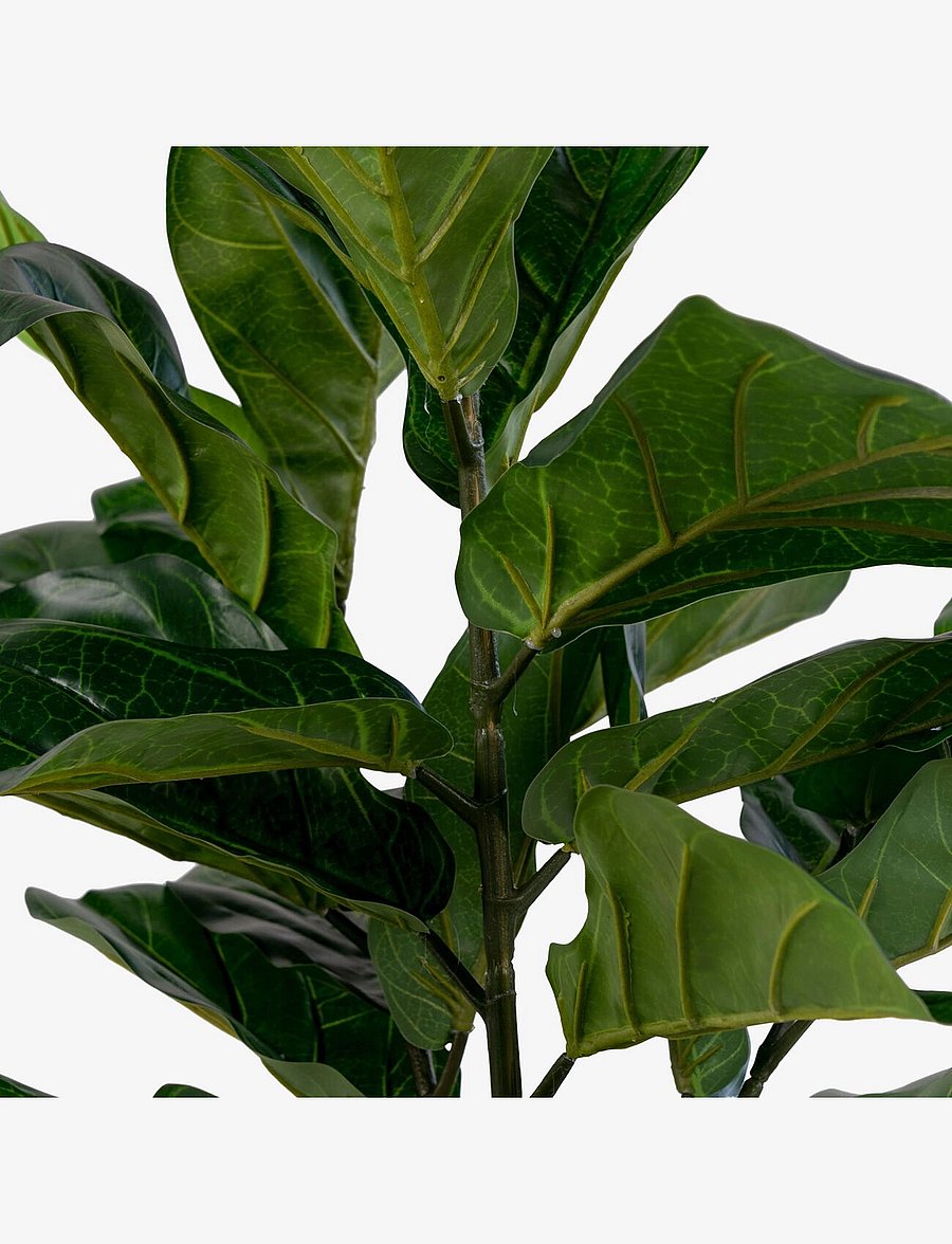 House Nordic - Kili - Artificial plant, green H:100 cm - fleurs séchées - green - 2