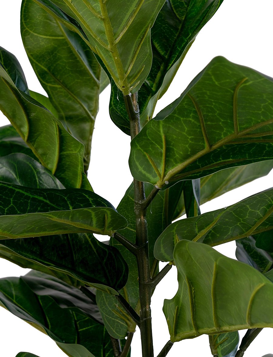 House Nordic - Kili - Artificial plant, green H:100 cm - fleurs séchées - green - 3