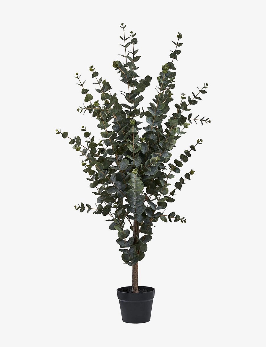 House Nordic - Lani - Artificial plant, green H:120 cm - fleurs séchées - green - 1
