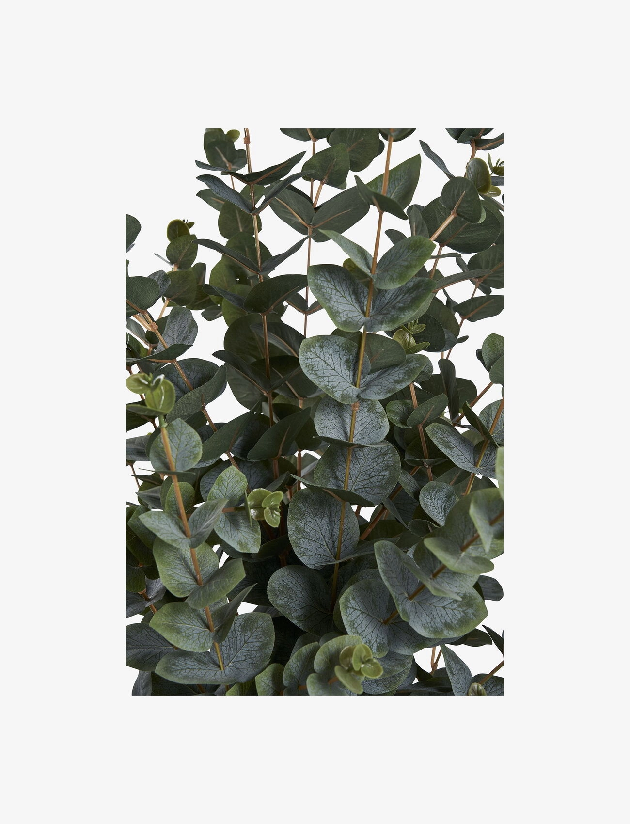 House Nordic - Lani - Artificial plant, green H:120 cm - fleurs séchées - green - 2