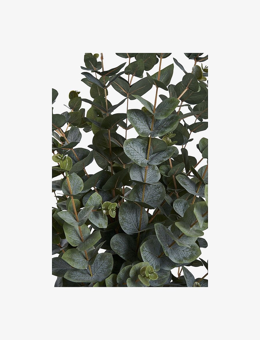 House Nordic - Lani - Artificial plant, green H:120 cm - fleurs séchées - green - 2