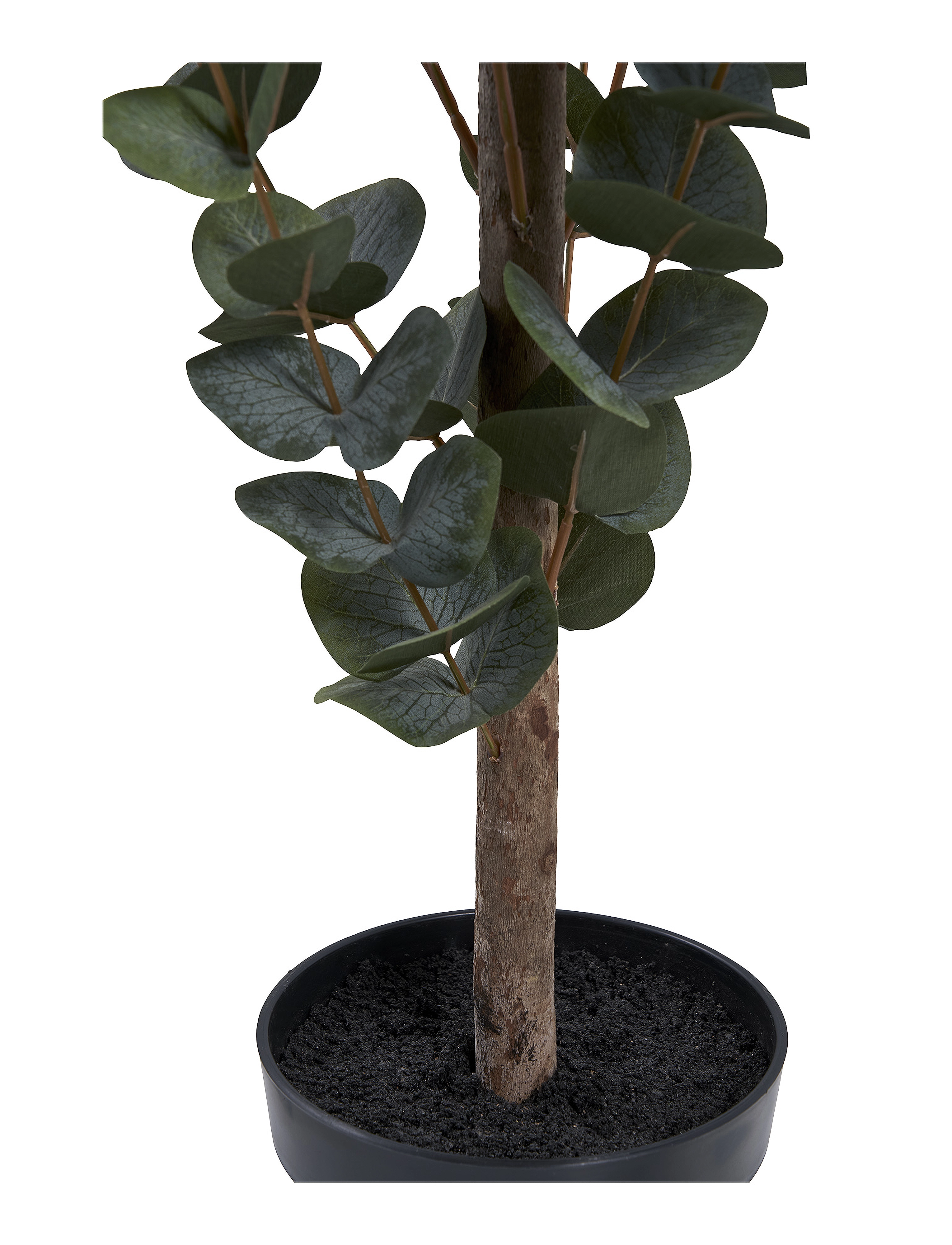 House Nordic - Lani - Artificial plant, green H:120 cm - fleurs séchées - green - 5