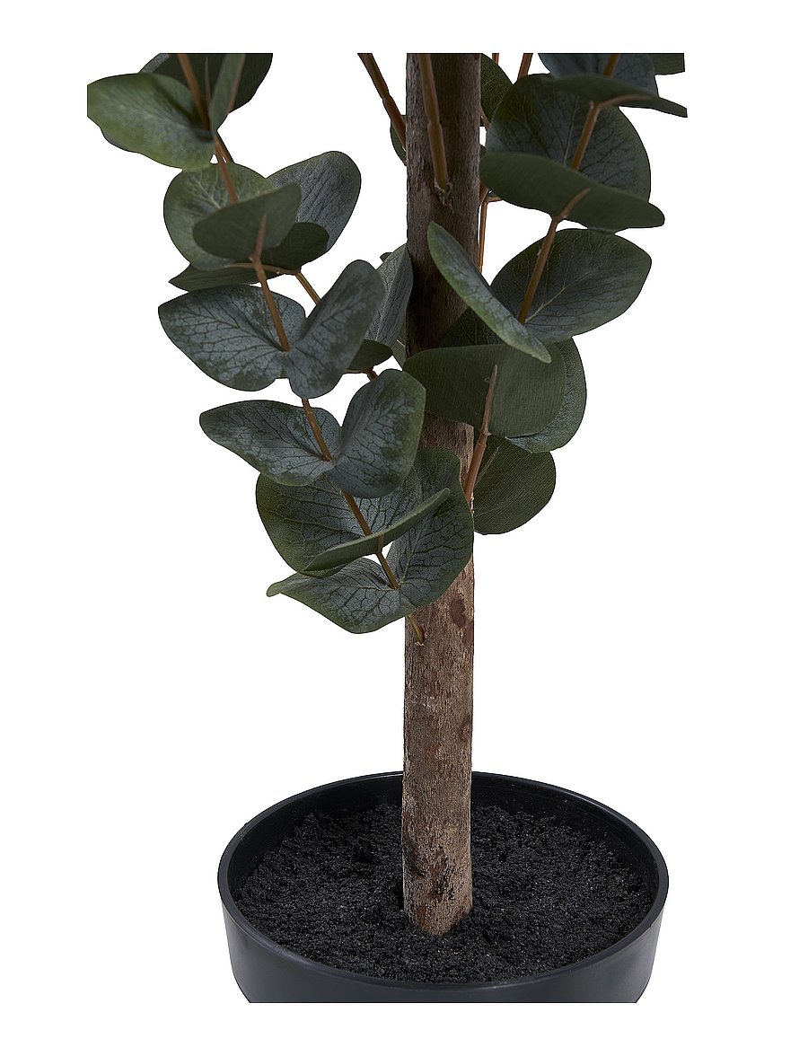 House Nordic - Lani - Artificial plant, green H:120 cm - fleurs séchées - green - 5