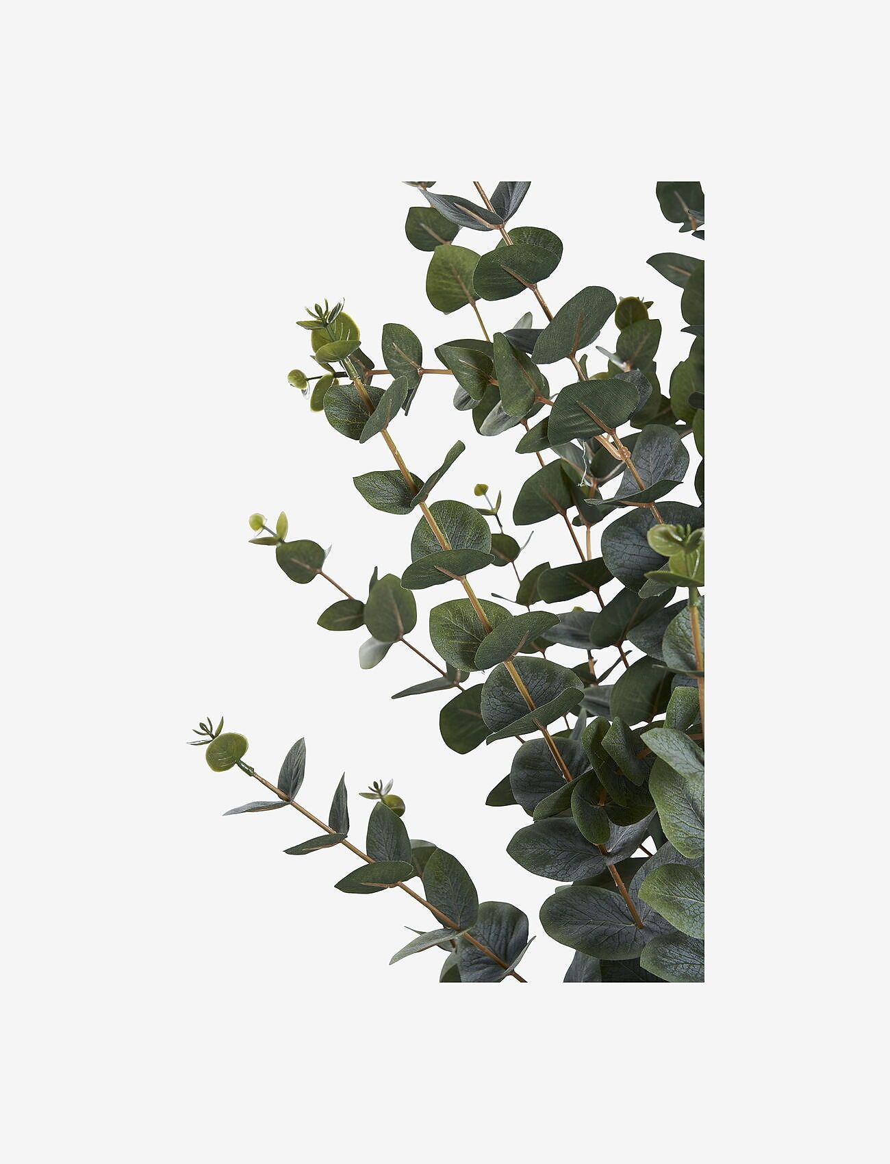 House Nordic - Lani - Artificial plant, green H:120 cm - getrocknete blumen - green - 2