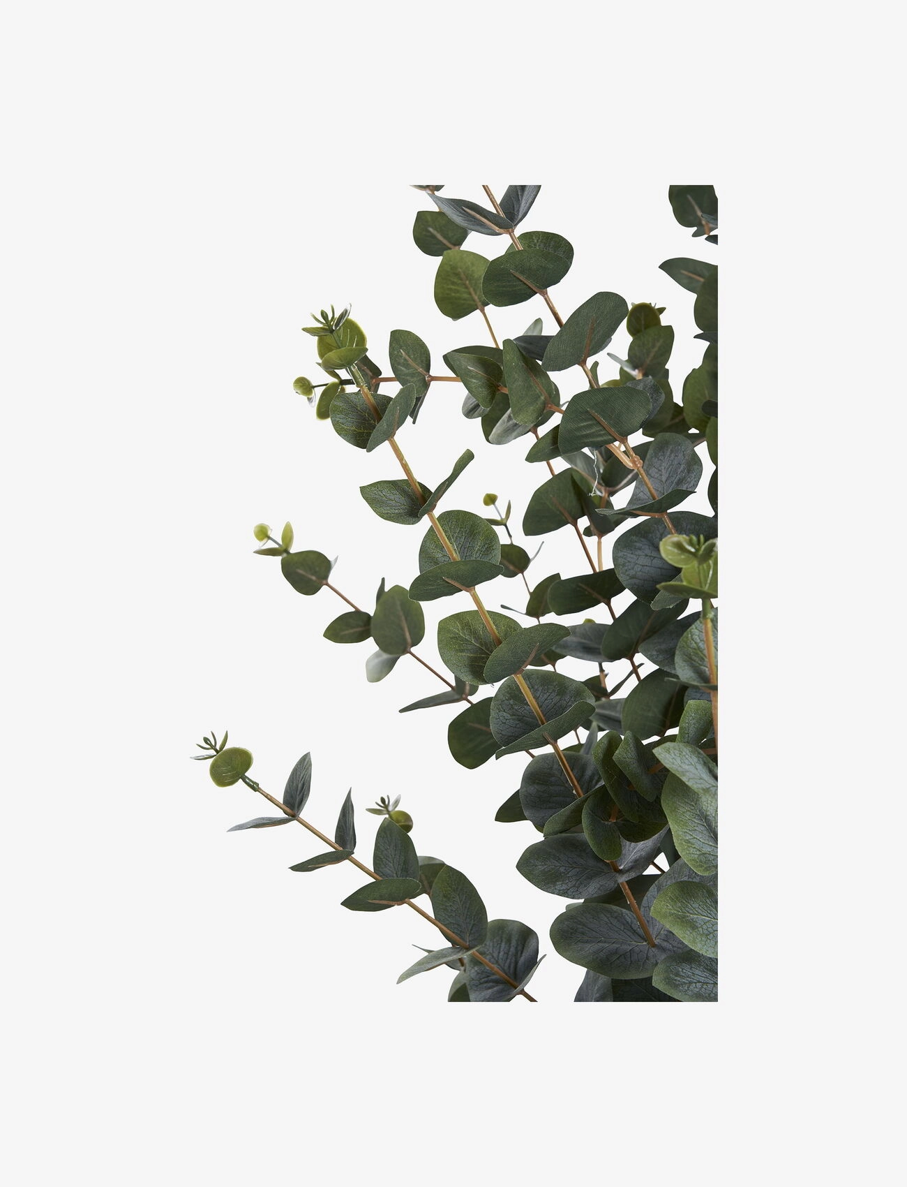 House Nordic - Lani - Artificial plant, green H:120 cm - fleurs séchées - green - 3