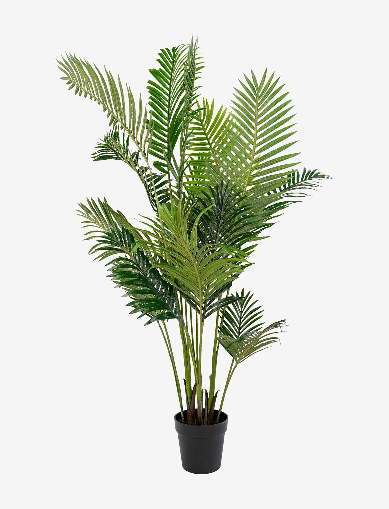 House Nordic - Maja - Artificial palm, green H:175 cm - shop etter pris - green - 0