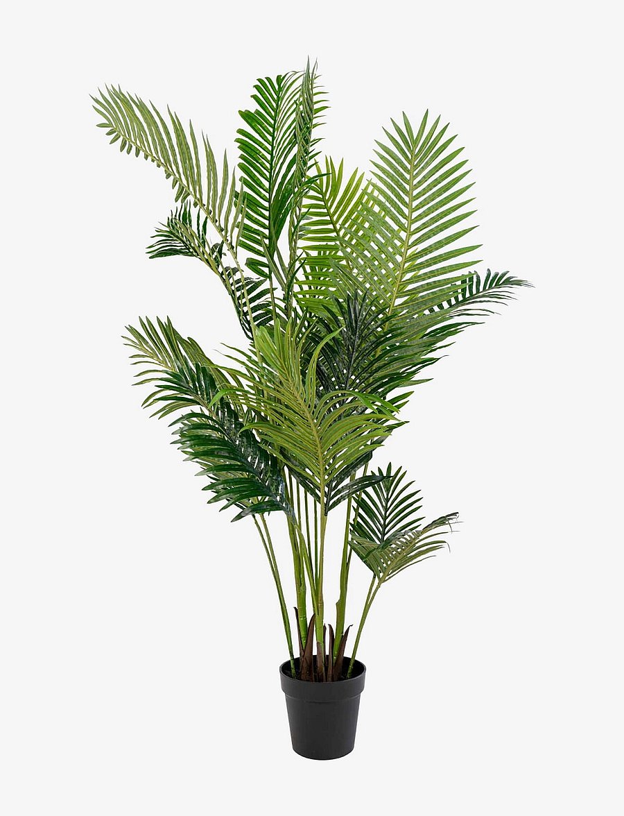 House Nordic - Maja - Artificial palm, green H:175 cm - valentinstaggeschenke - green - 1