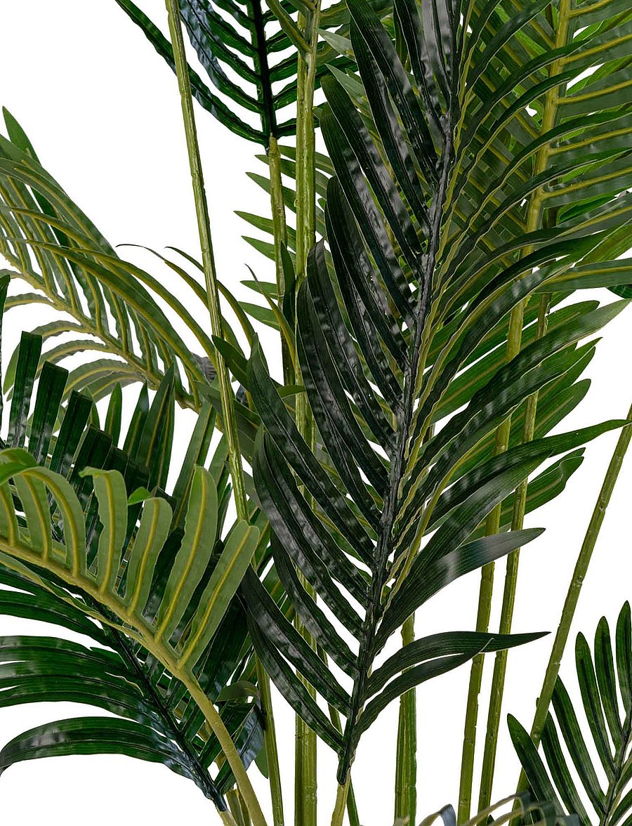 House Nordic - Maja - Artificial palm, green H:175 cm - valentinstaggeschenke - green - 4