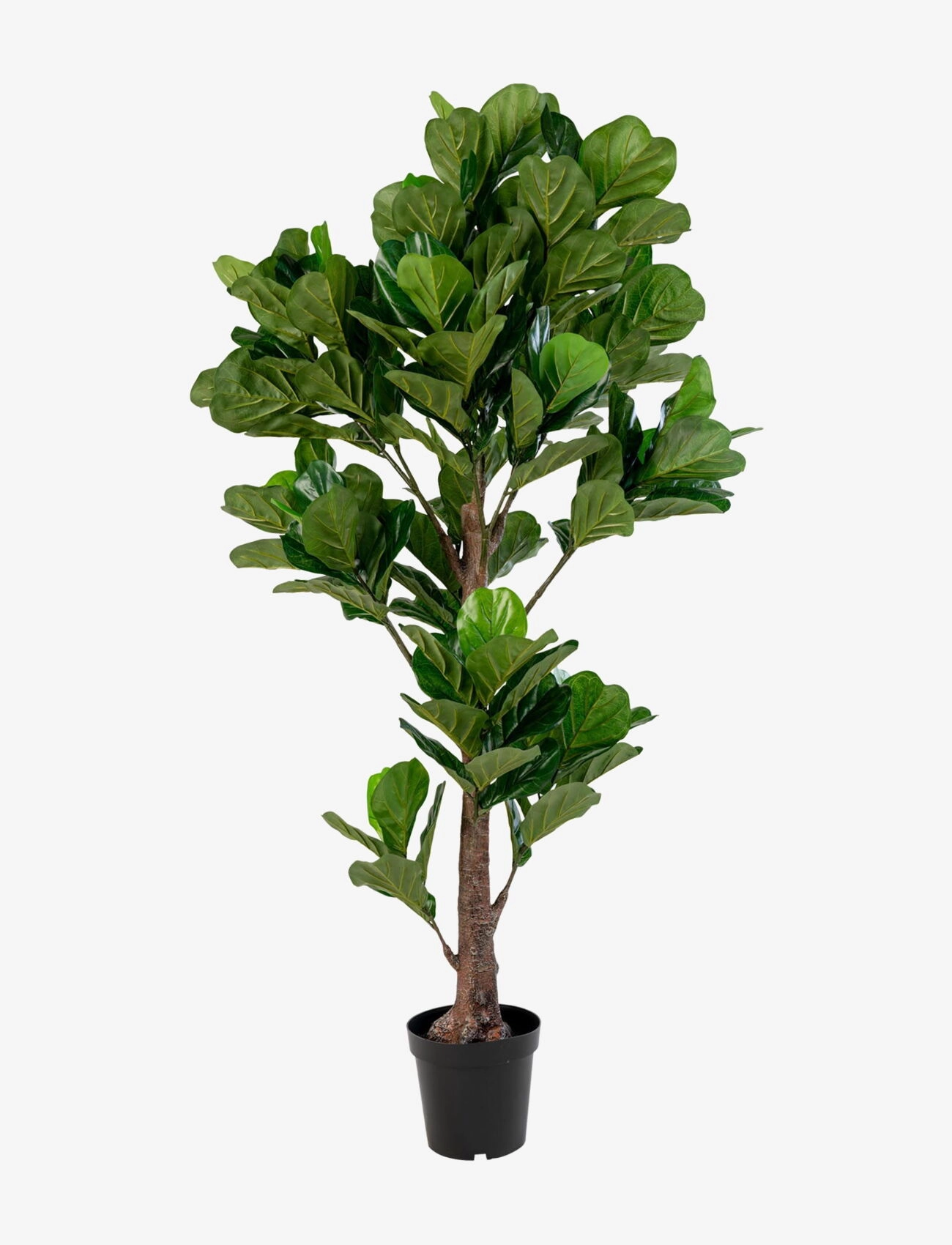 House Nordic Alma Artificial Plant, Green H:190 Cm, Dried & Fake Flowers, Grøn, Str: 190X93X81CM