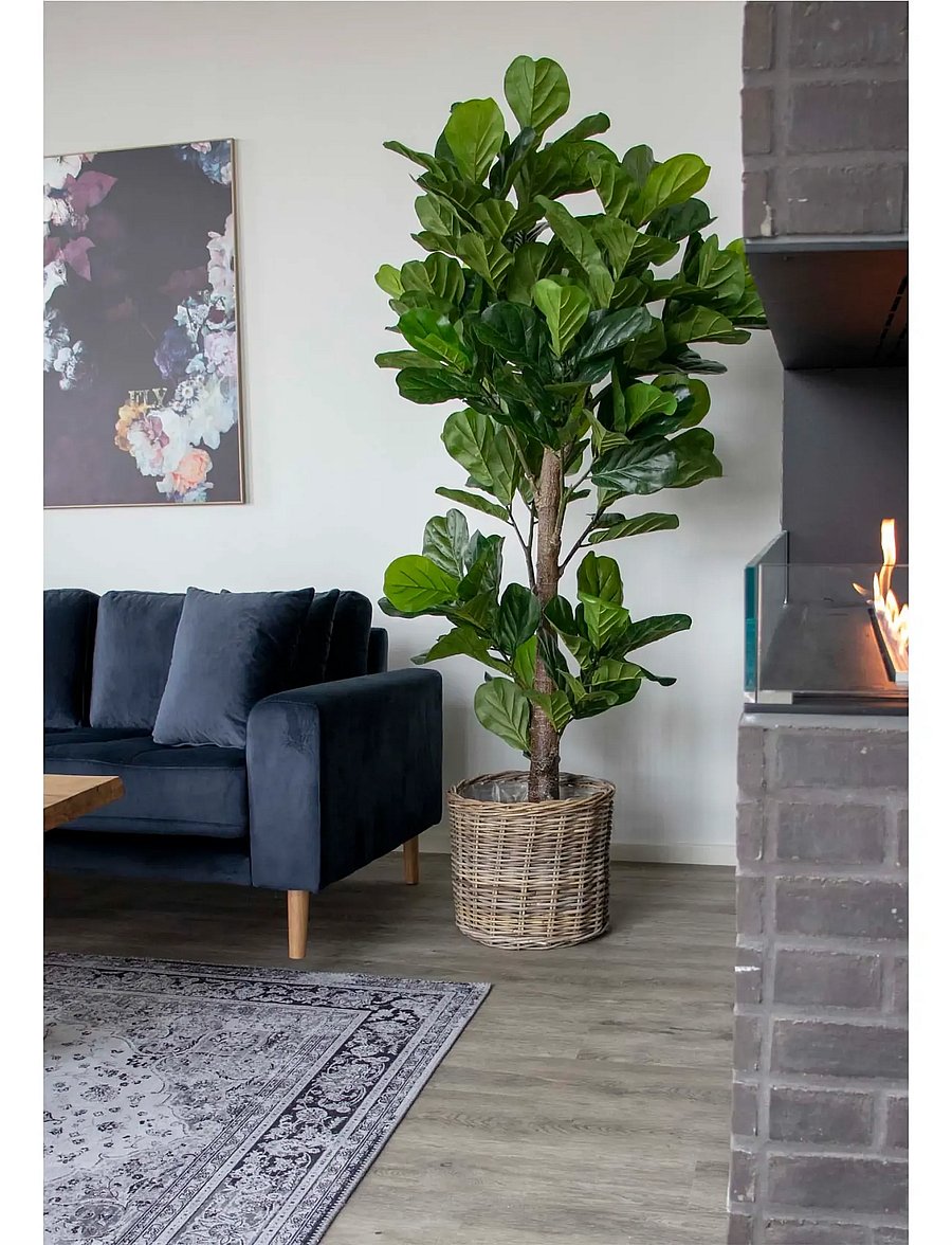 House Nordic - Alma - Artificial plant, green H:190 cm - valentinstaggeschenke - green - 0