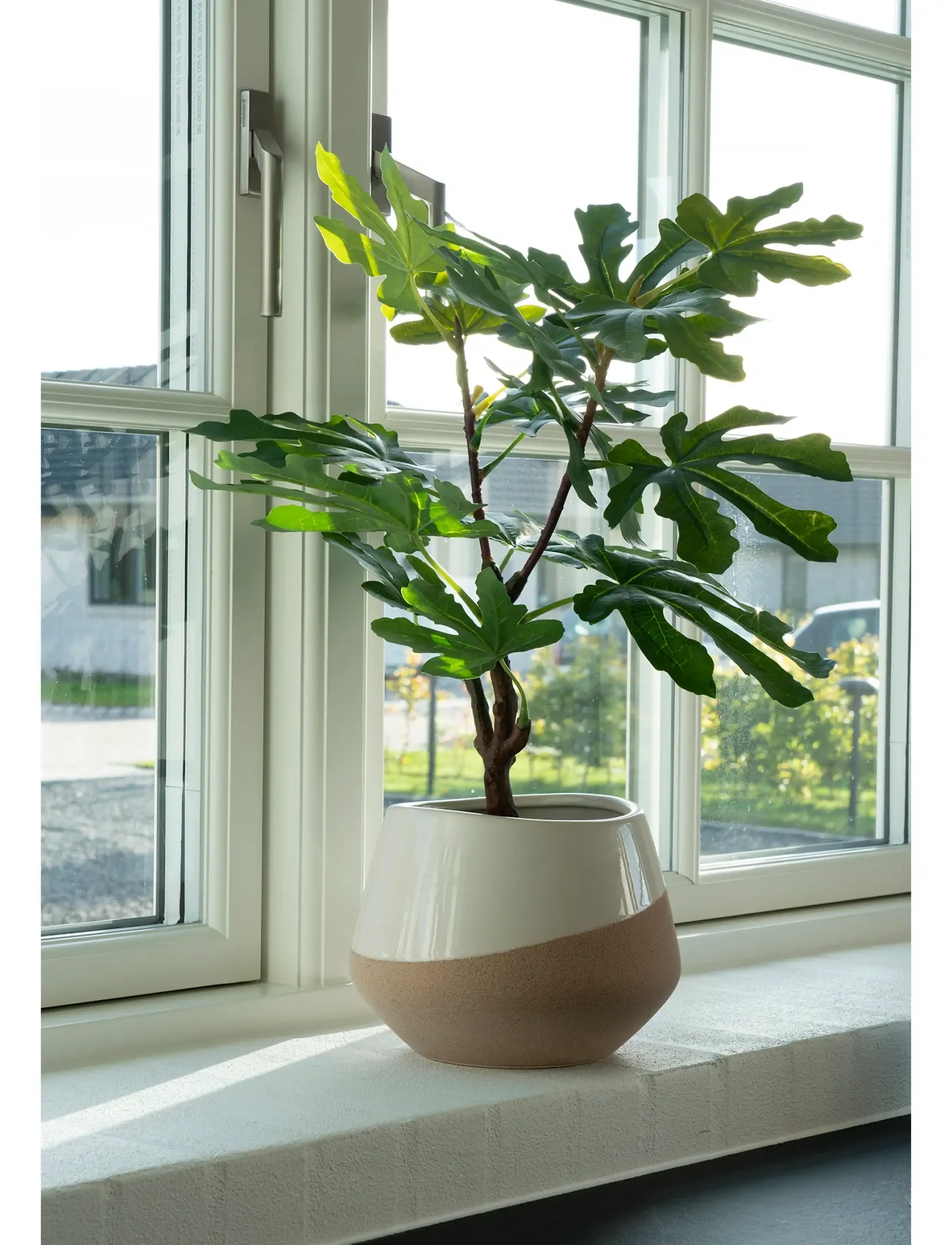 House Nordic Fig Artificial Plant, Green, H:60 Cm, 40X40XH60 cm, Decoration, Grün - Dried & Fake Flowers, Homeware