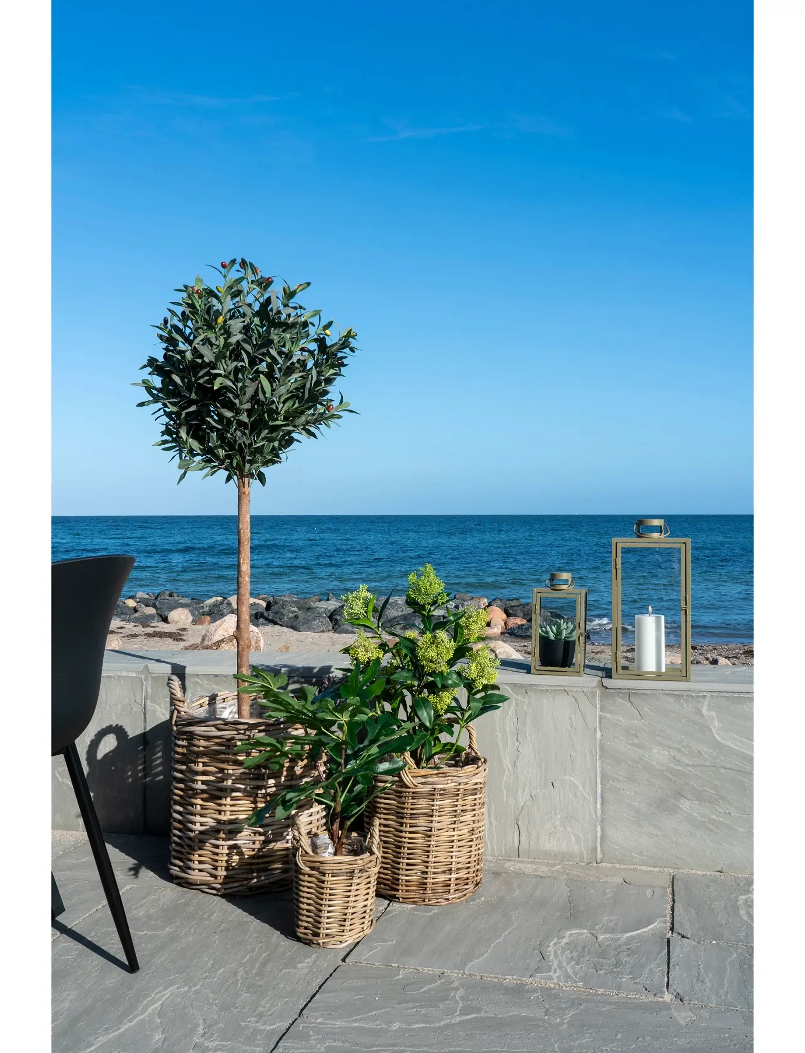 House Nordic - Fig Artificial plant, green, H:60 cm - green - 4