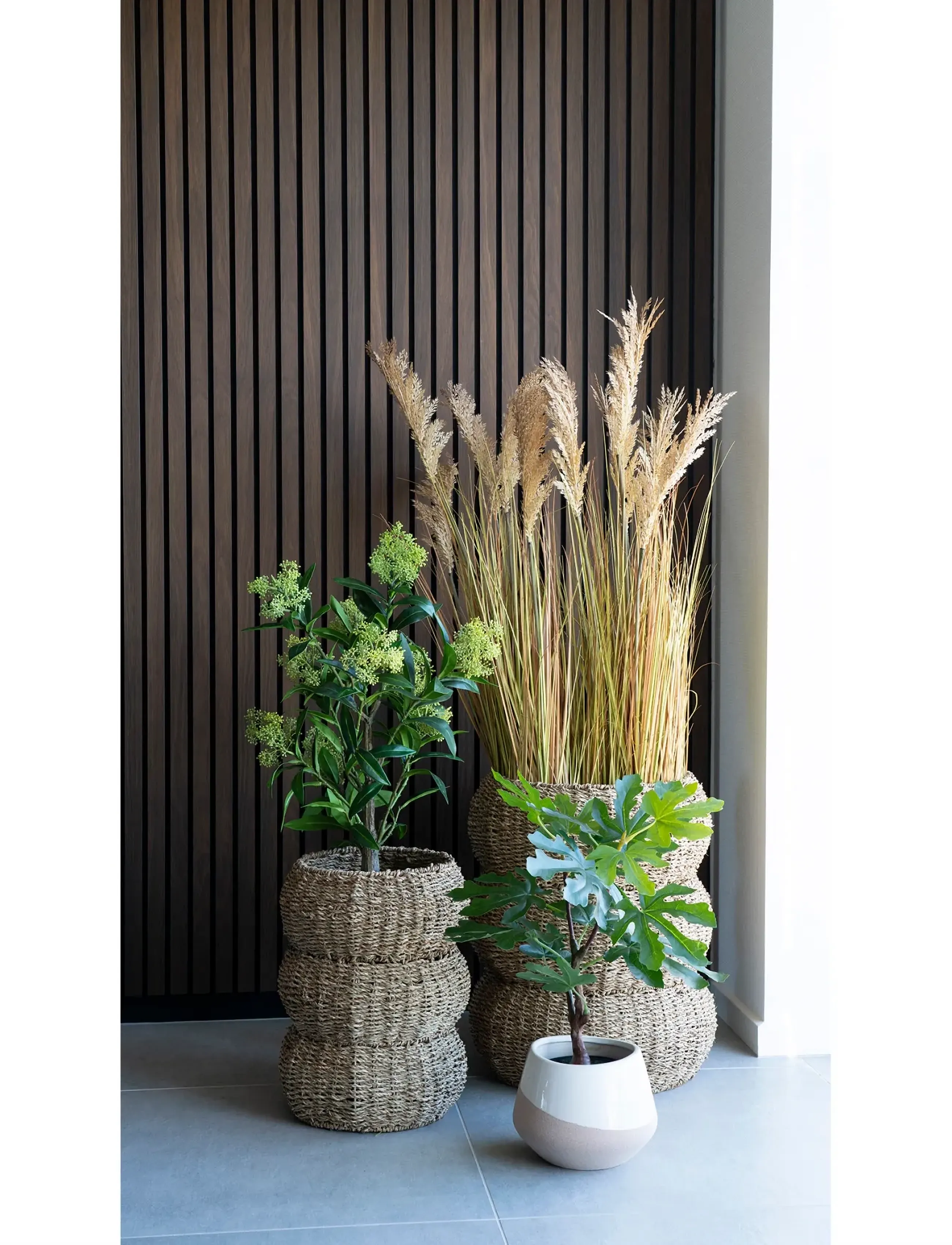 House Nordic - Fig Artificial plant, green, H:60 cm - green - 5