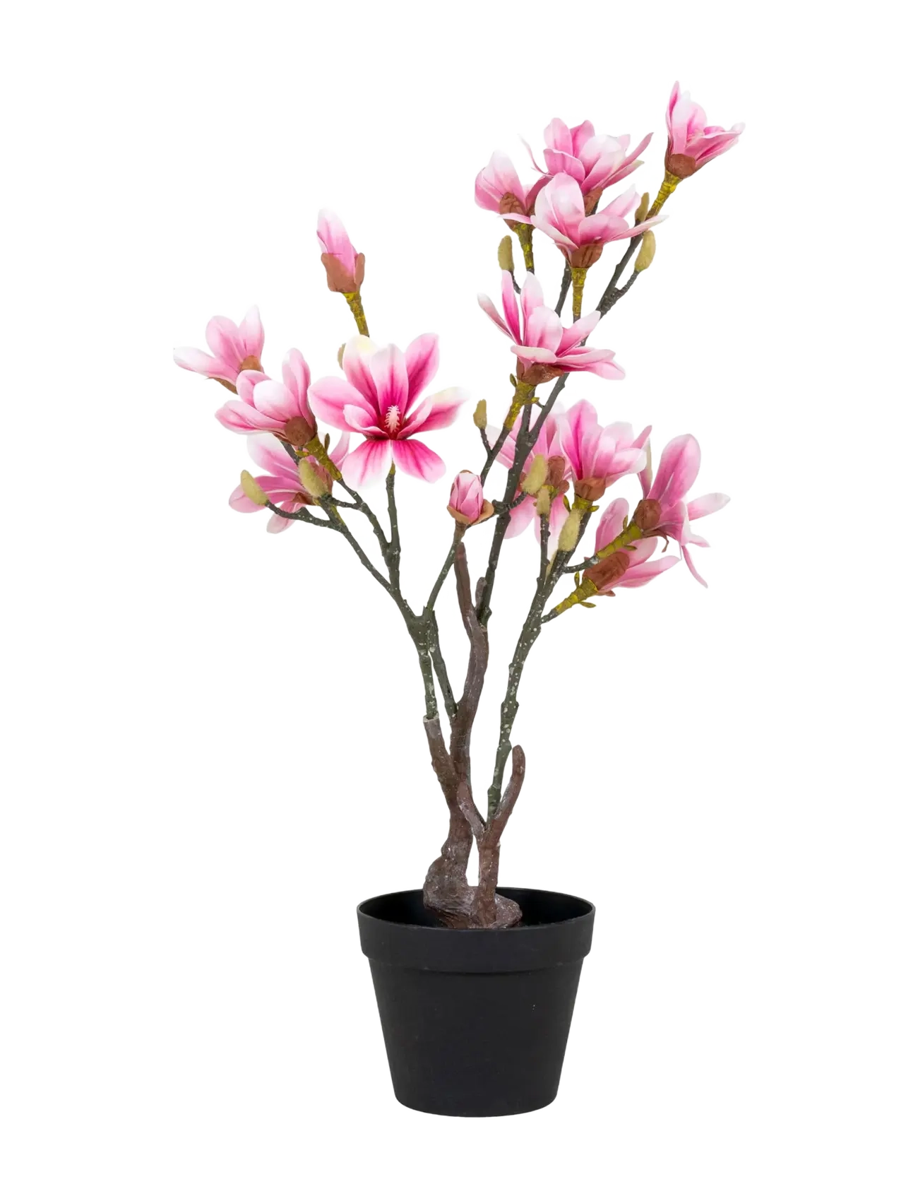 House Nordic Artificial Flowers, Dried & Fake Flowers, Pink, Str: 74X40X30CM