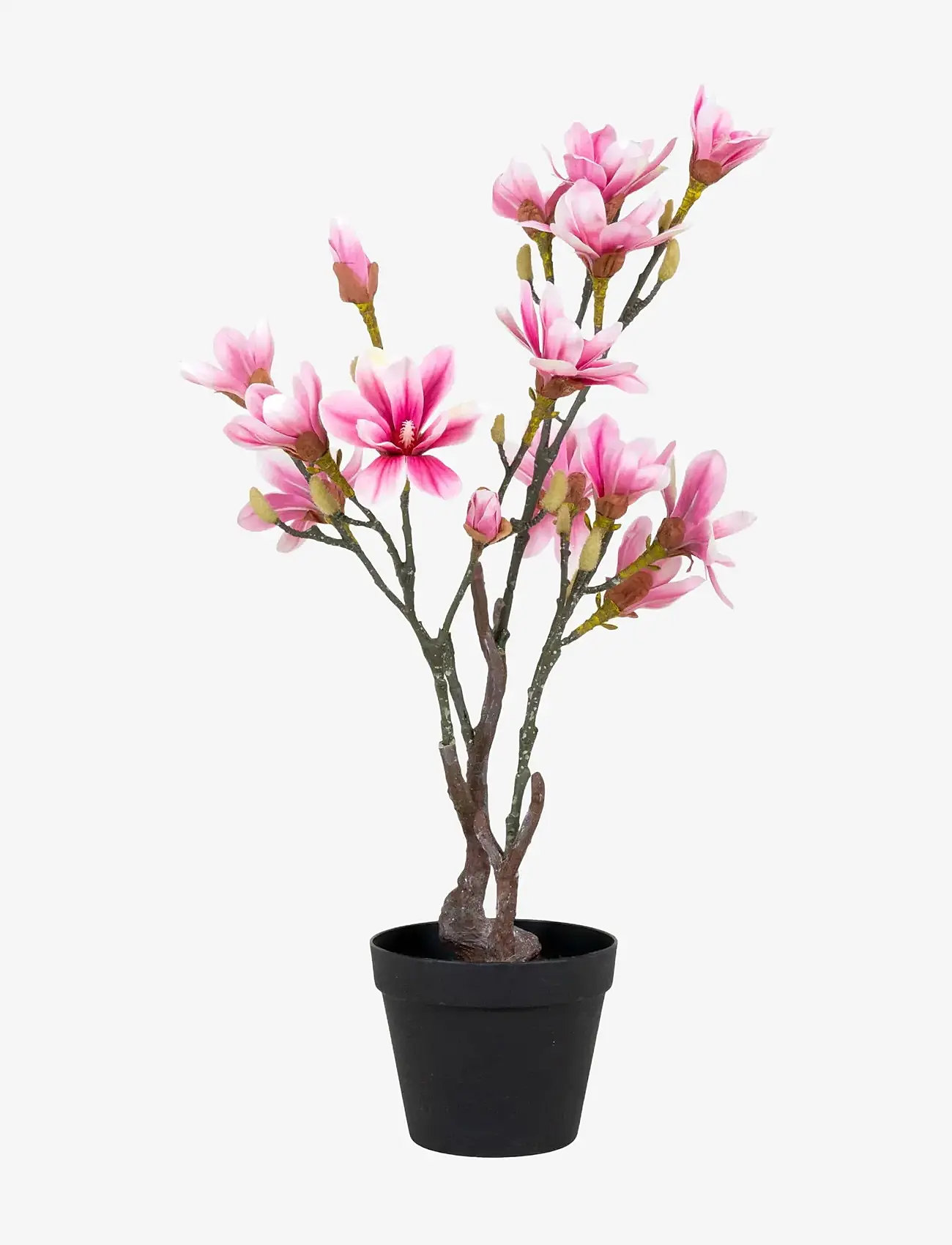 House Nordic - Artificial Flowers - sõbrapäeva kingitused - green / rosa - 1