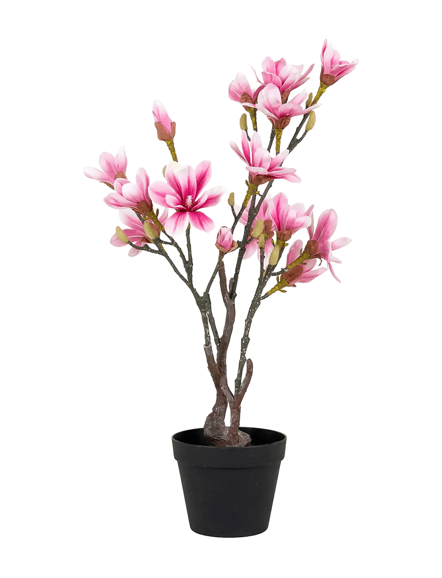 House Nordic - Artificial Flowers - valentīndienas dāvanas - green / rosa - 1