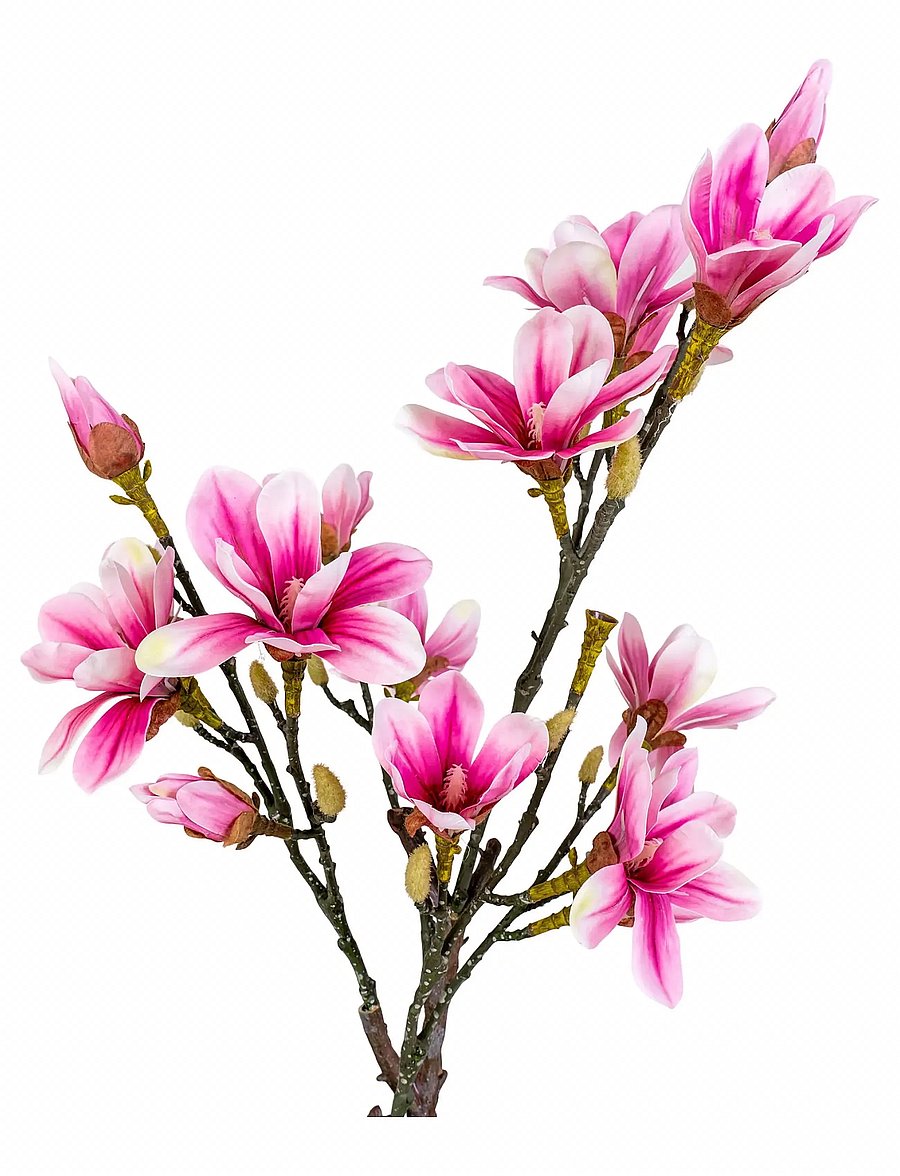 House Nordic - Artificial Flowers - valentīndienas dāvanas - green / rosa - 2
