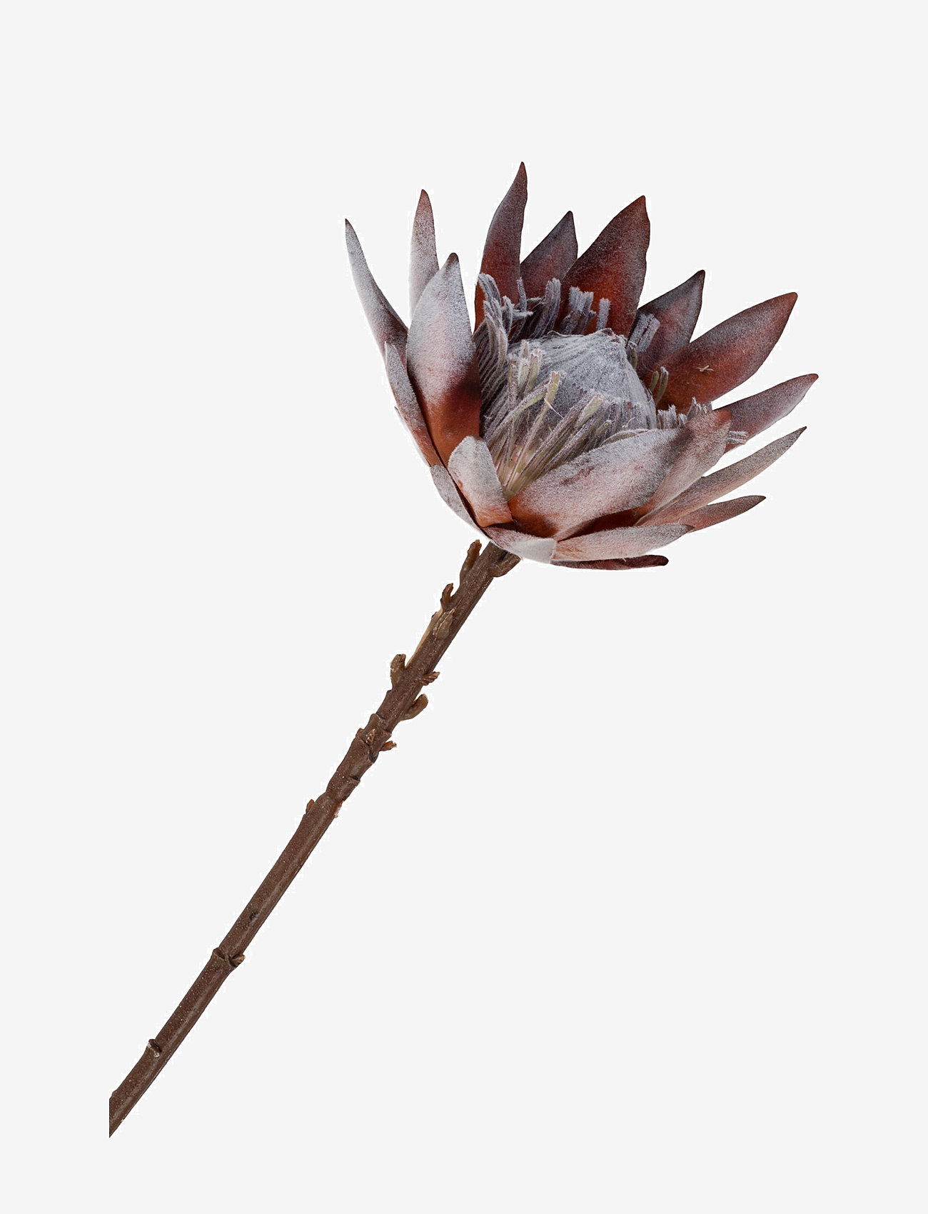 House Nordic - Artificial Flowers - konstgjorda blommor - rose mix - 3