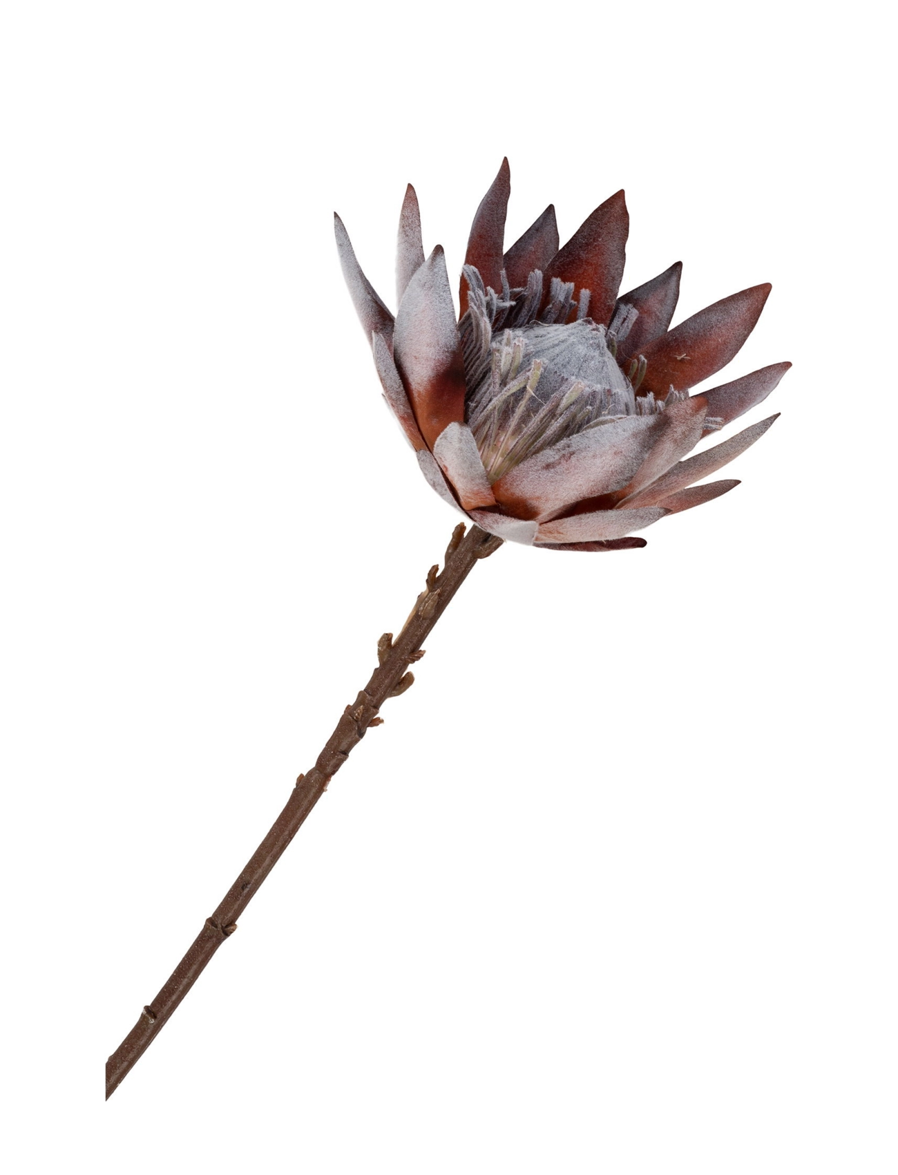 House Nordic - Artificial Flowers - rose mix - 4