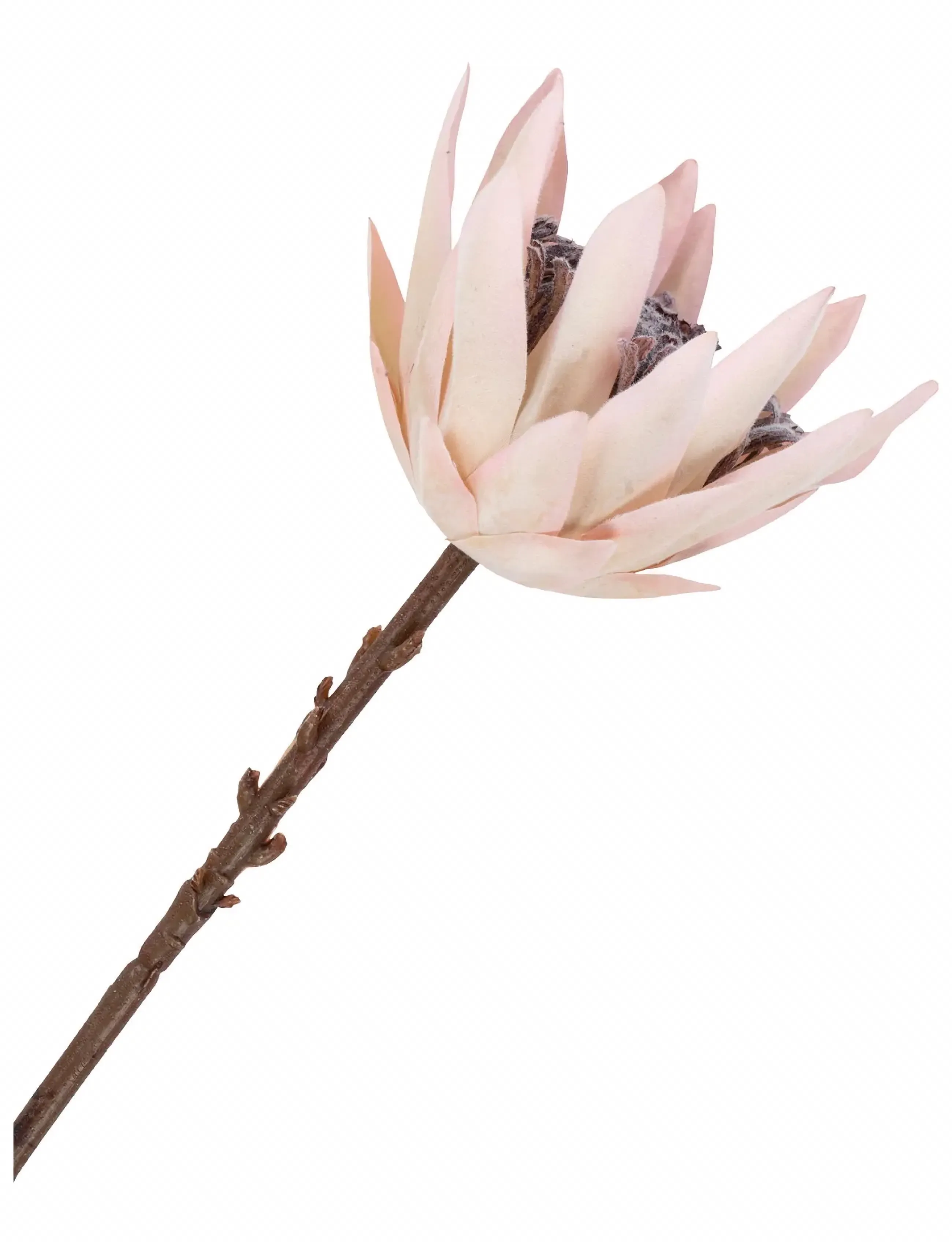 House Nordic - Hangers - valentinstaggeschenke - bordeaux mix - 3