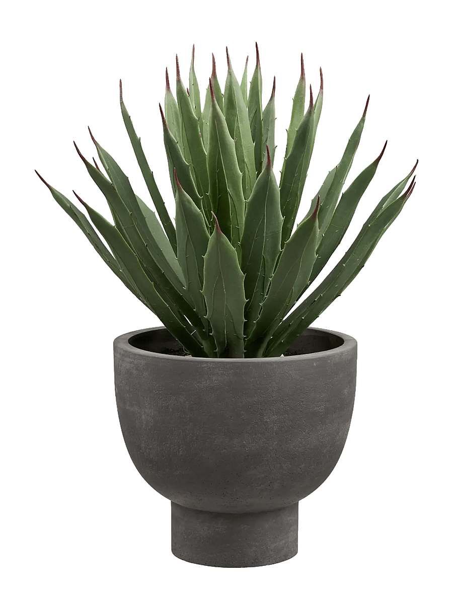 House Nordic - Thora - With pot, artificial - valentinstaggeschenke - grey / green - 1