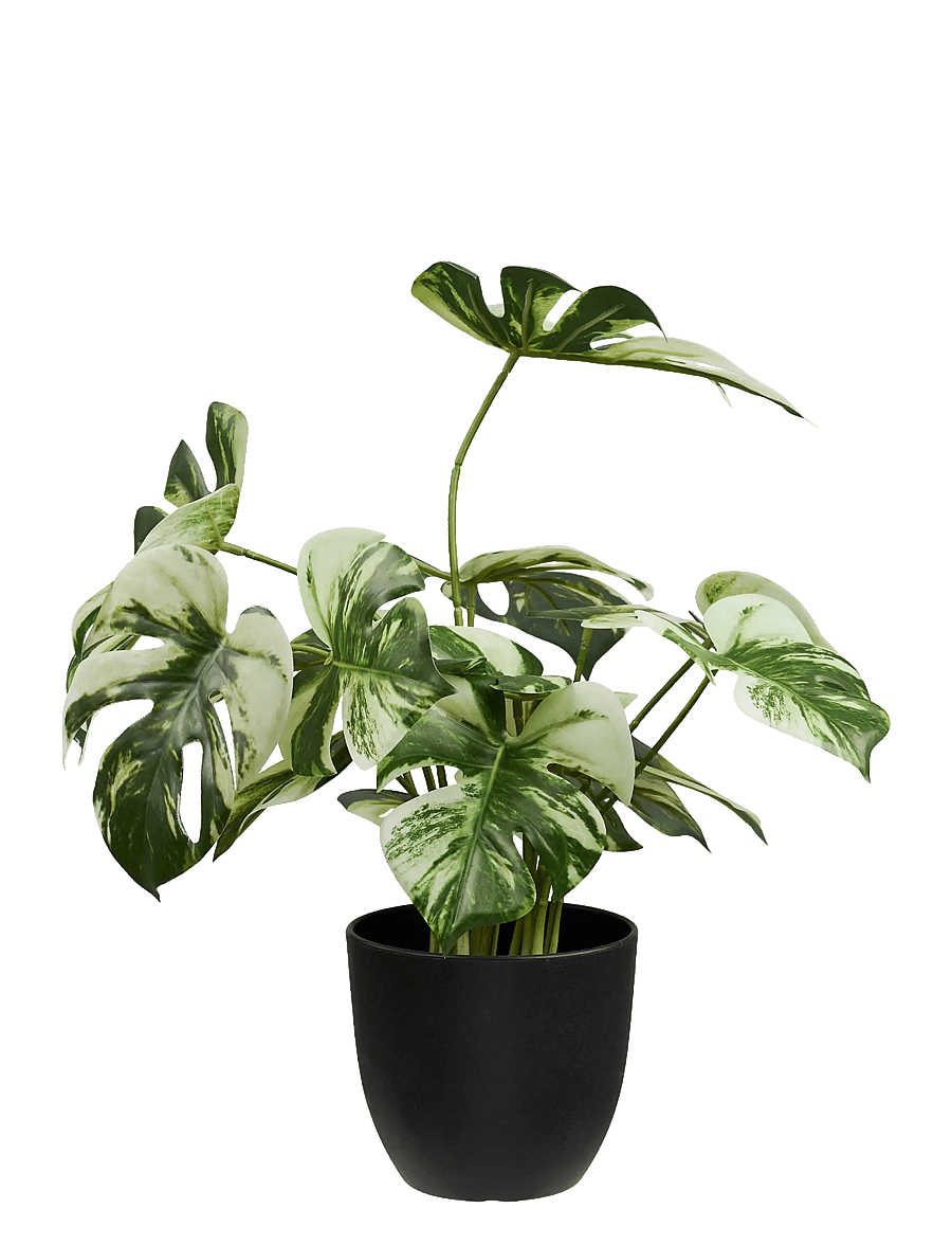 House Nordic - Elna - Artificial plant - cadeau de saint valentin - green - 1