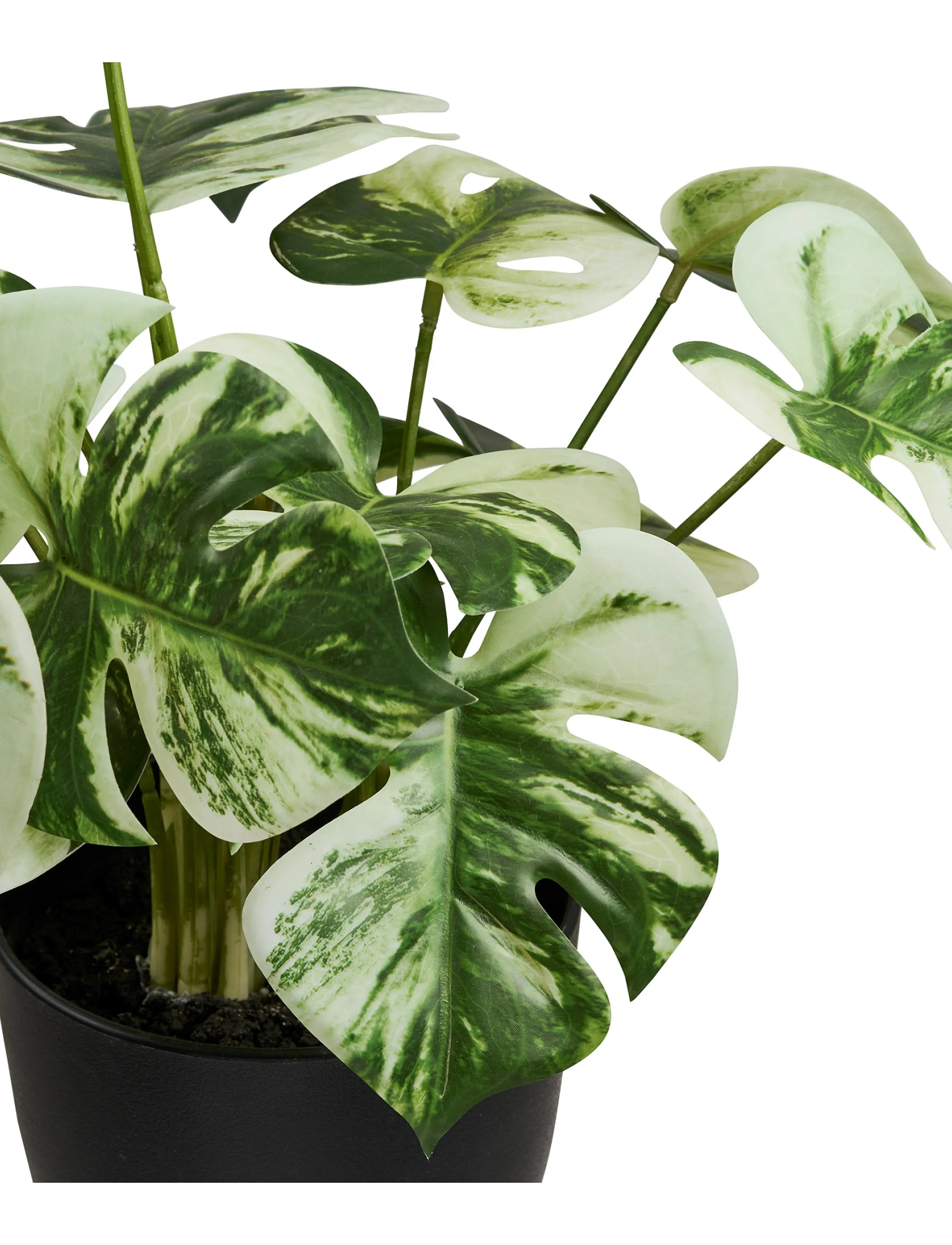 House Nordic - Elna - Artificial plant - valentines day gifts - green - 4