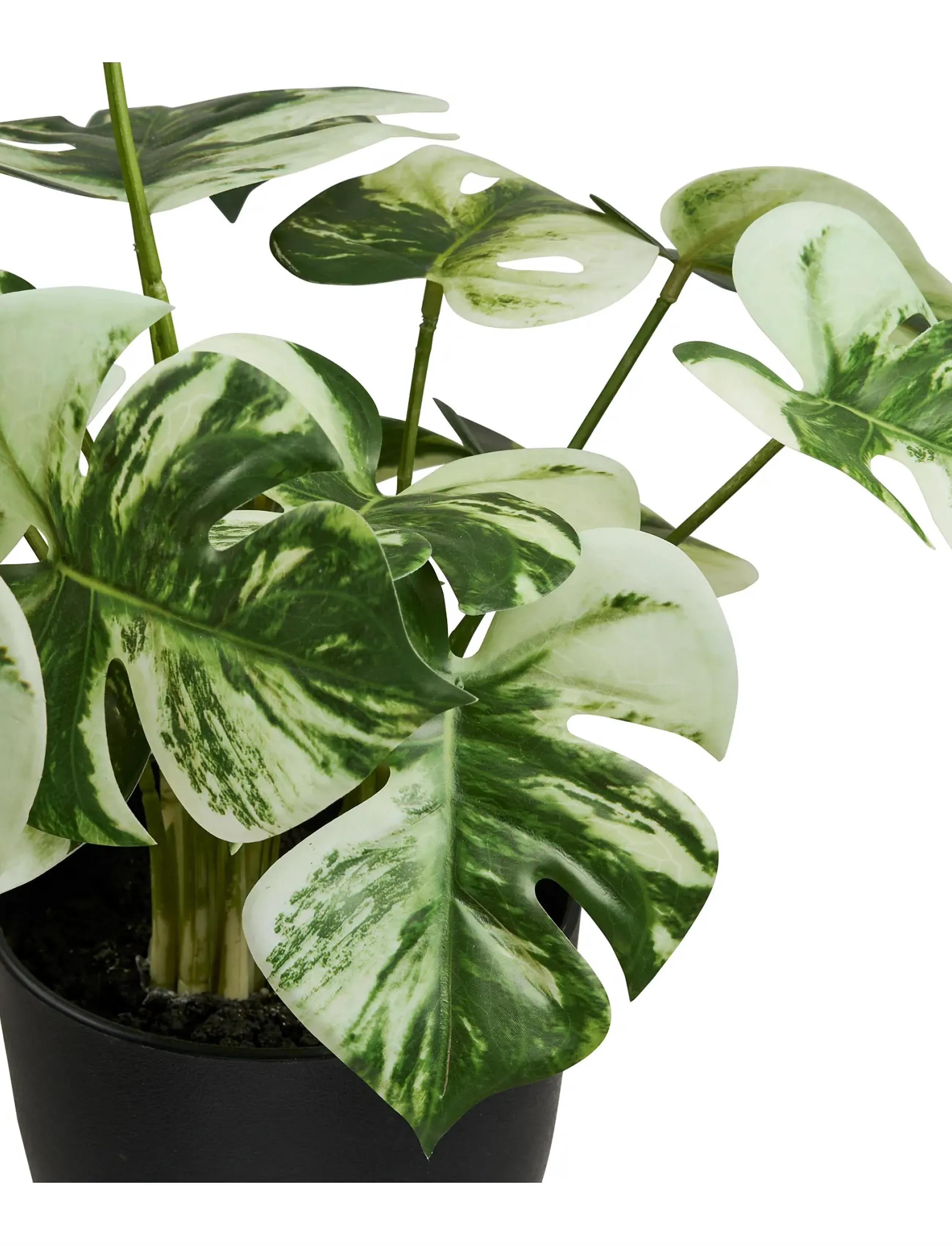 House Nordic - Elna - Artificial plant - die niedrigsten preise - green - 5