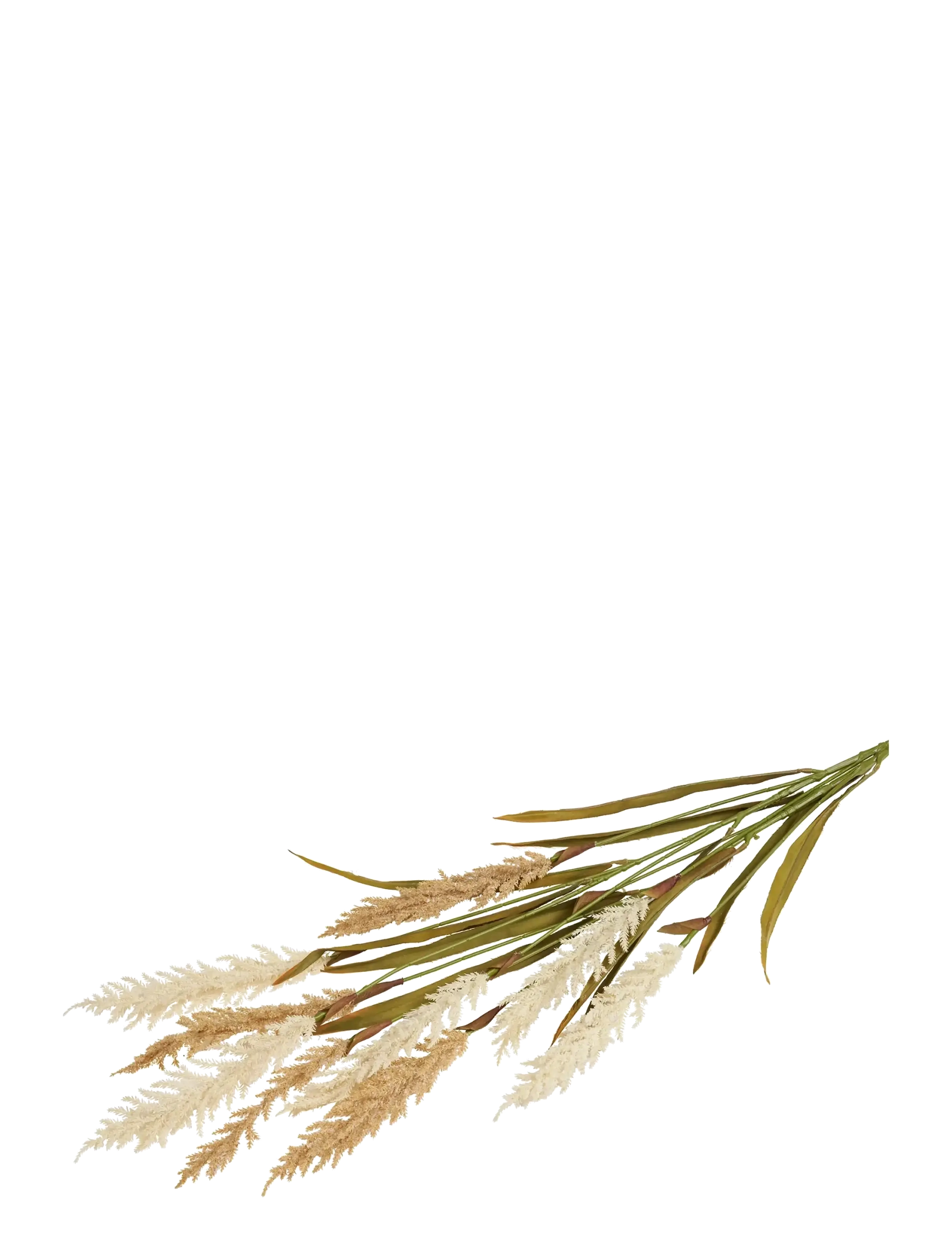 House Nordic Gerd Decorative Grass, Artificial, Beige/Sand, 2 Stems, H: 130 Cm, Dried & Fake Flowers, Creme, Str: 130 CM