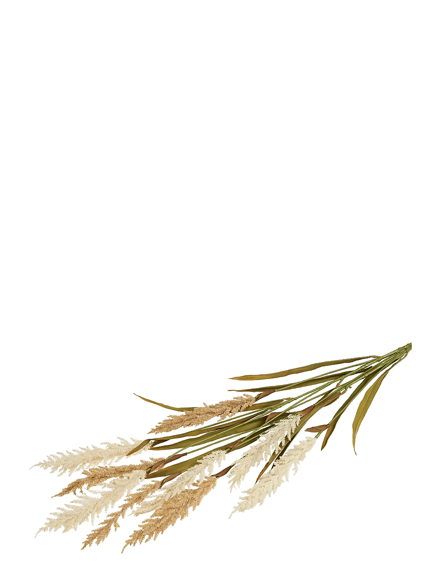 House Nordic - Gerd - Decorative grass, artificial, beige/sand, 2 stems, H: 130 cm - valentinstaggeschenke - beige / sand - 1