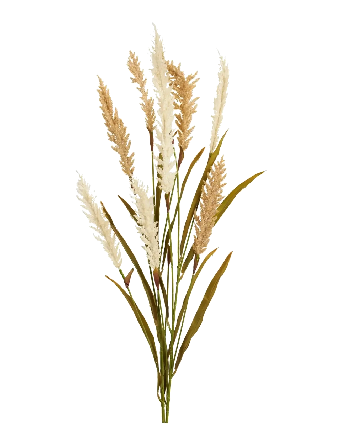House Nordic - Gerd - Decorative grass, artificial, beige/sand, 2 stems, H: 130 cm - valentinstaggeschenke - beige / sand - 2