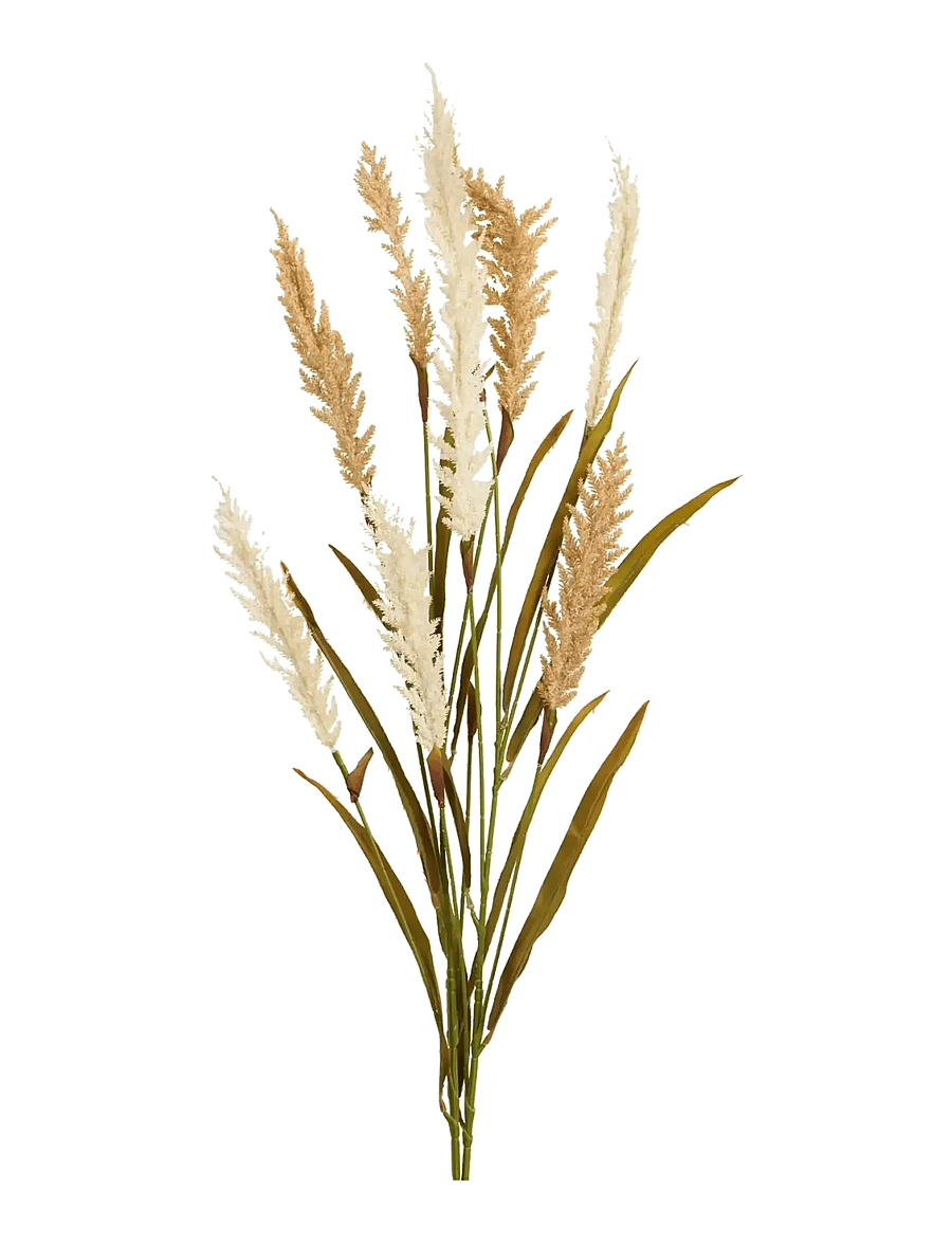 House Nordic - Gerd - Decorative grass, artificial, beige/sand, 2 stems, H: 130 cm - valentinstaggeschenke - beige / sand - 2