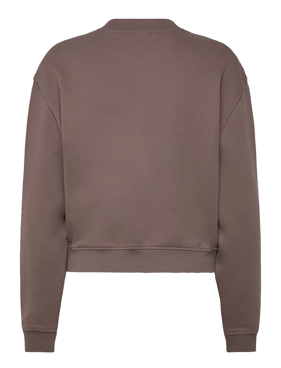 HUGO BLUE - Delessa_B_1 - sweatshirts - rust/copper - 2