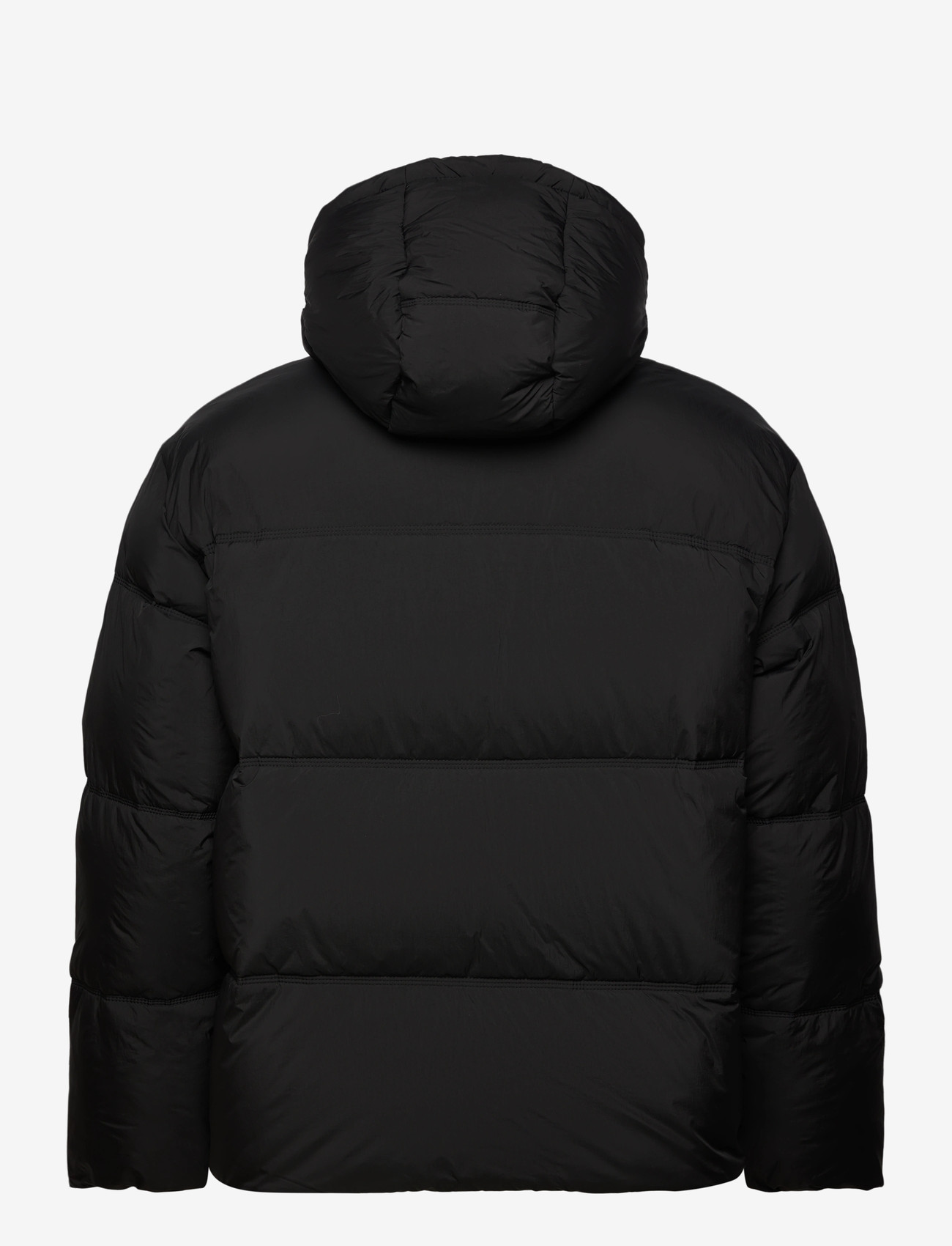 HUGO BLUE - Bodo2541 - winter jackets - black - 1