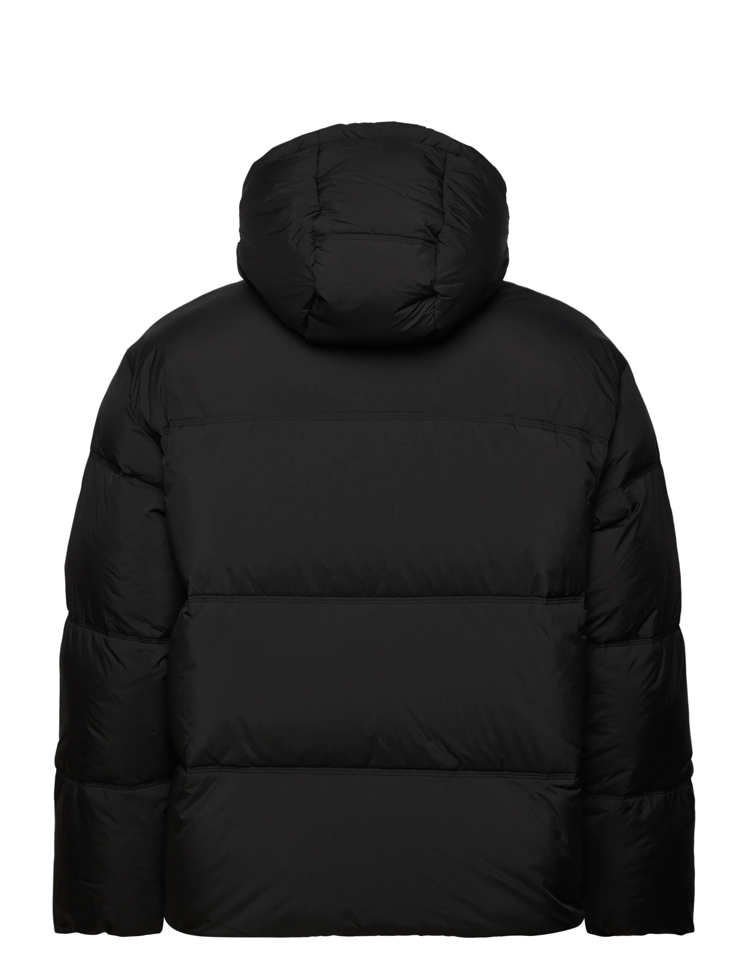 HUGO BLUE - Bodo2541 - winterjacken - black - 1