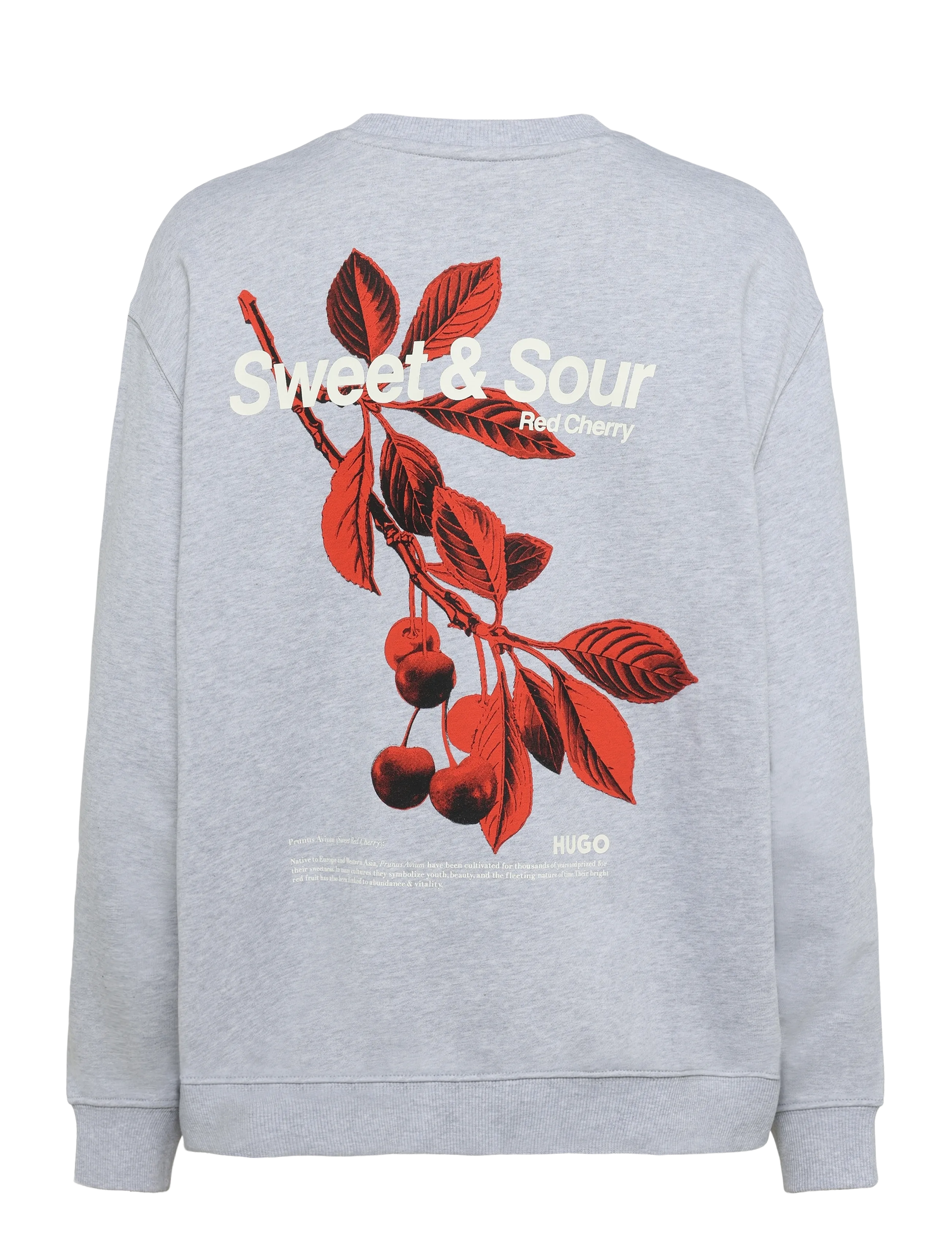 HUGO BLUE - Classic Crew_B_4 - open grey - 1