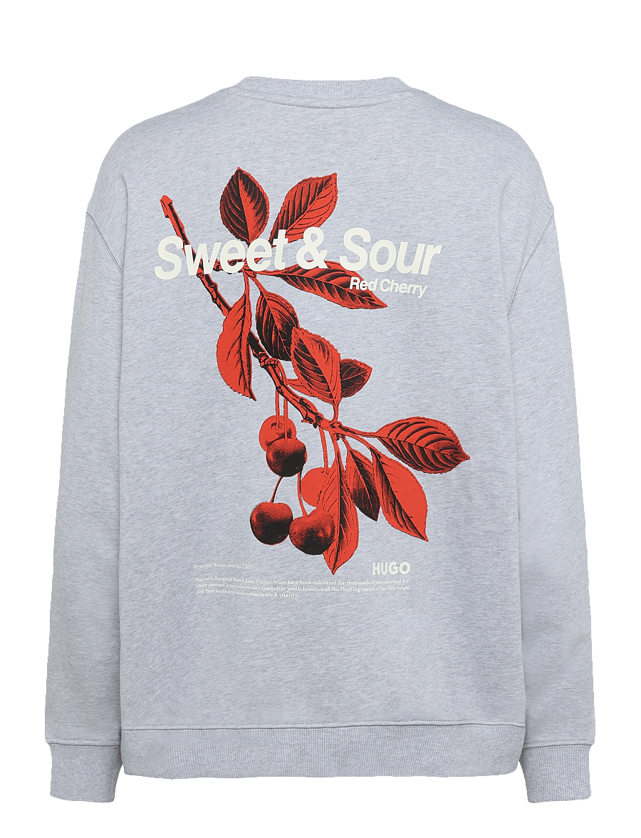 HUGO BLUE - Classic Crew_B_4 - open grey - 1