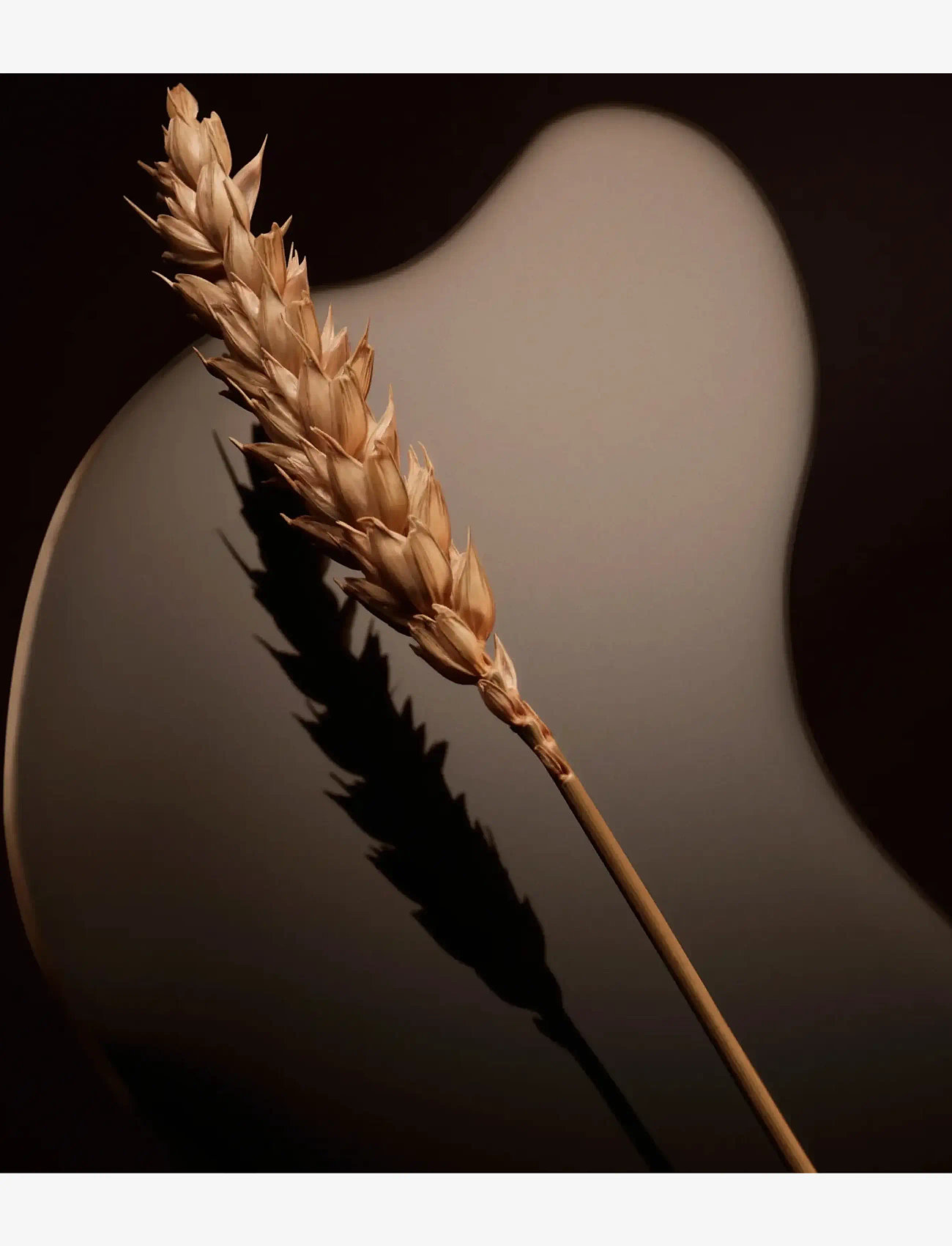 Hugo Boss - The Scent For Him Magnetic EdP - till honom  - clear - 5