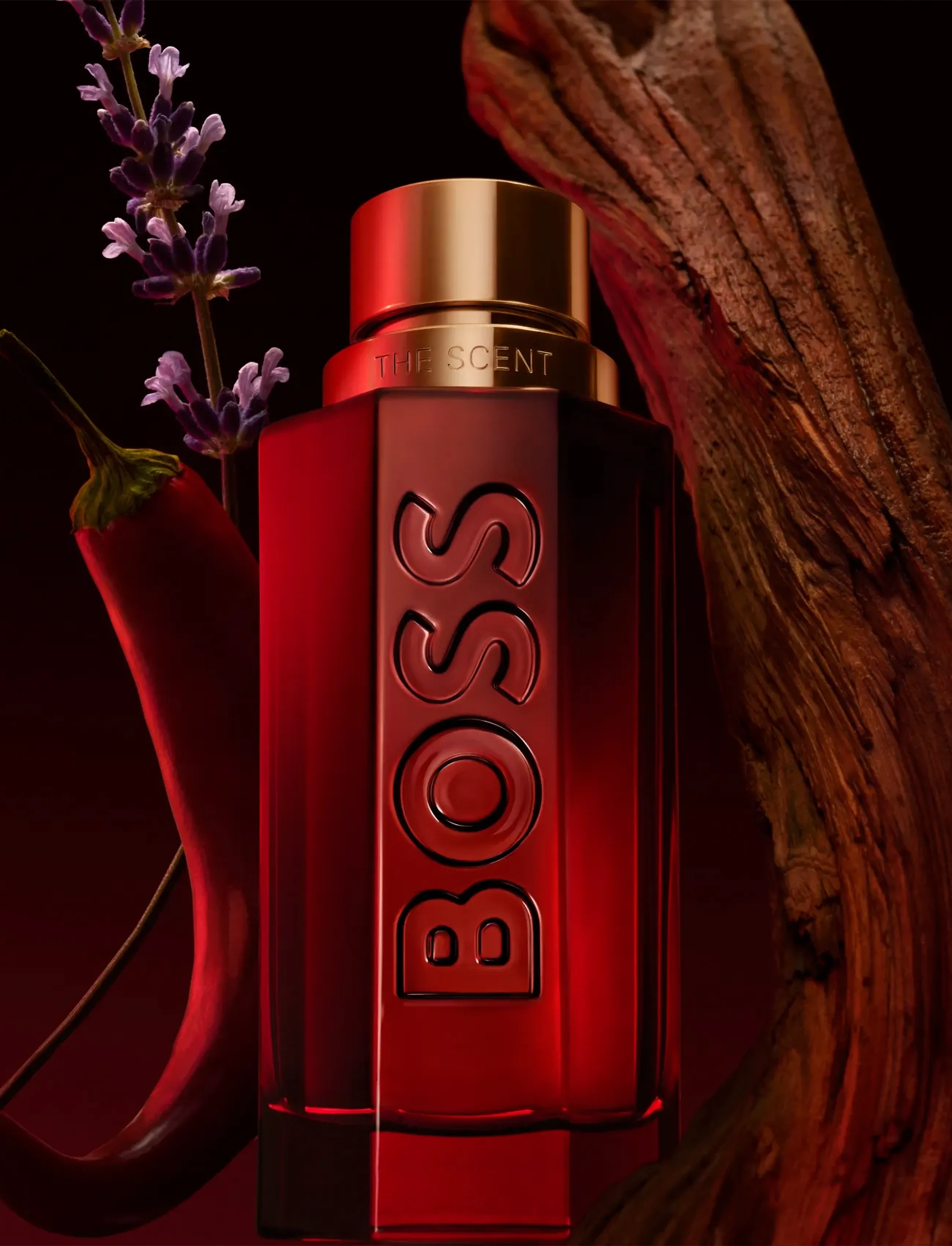 Hugo Boss The Scent For Him Elixir Parfum Intense, 100 ml, Nude, Parfume > Eau De Parfum, Herre