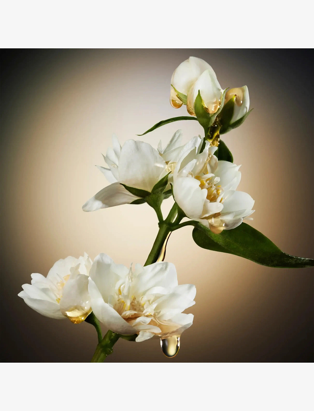 Hugo Boss - The Scent For Her EdP - bliv klar til date night - clear - 5